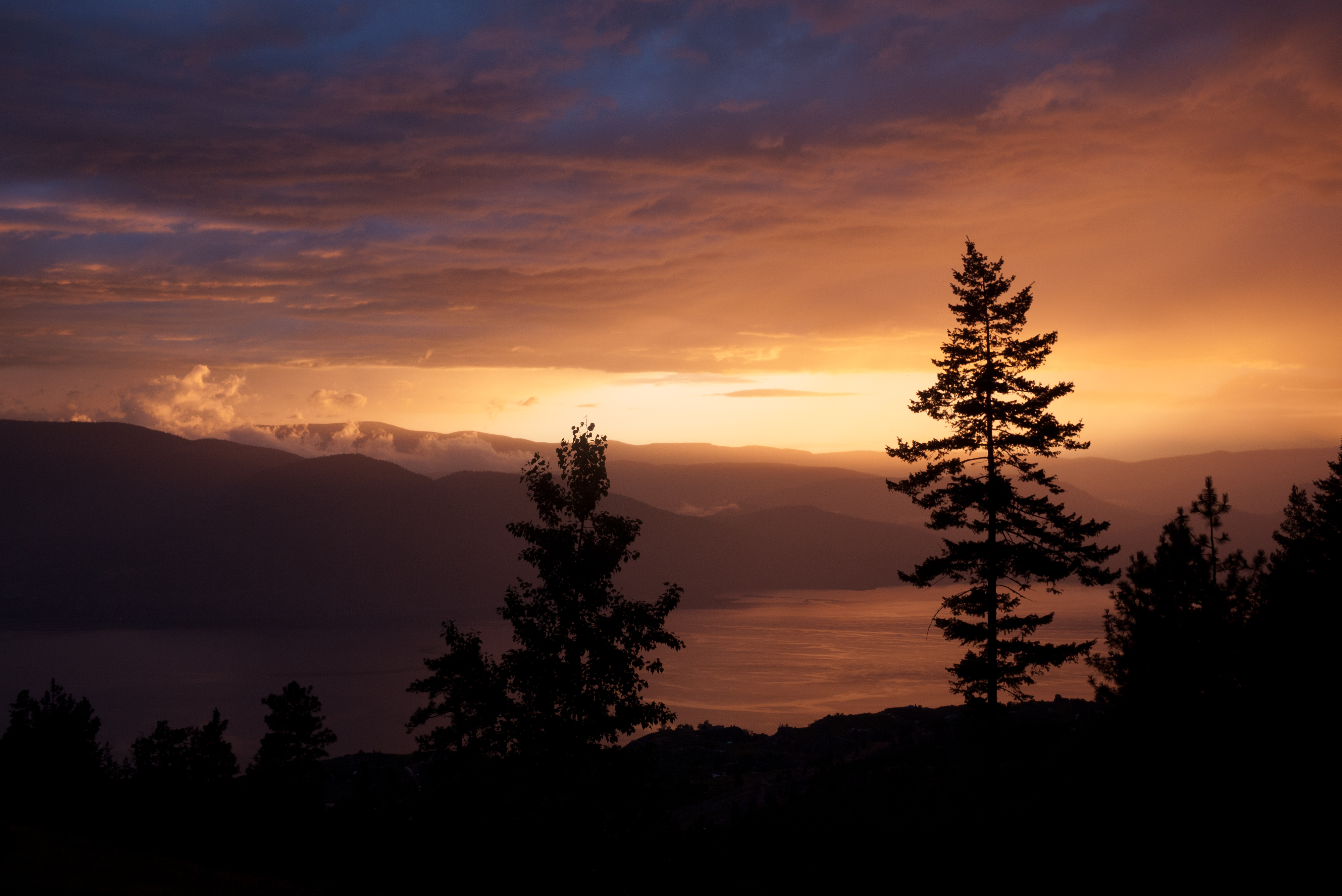 Laden Sie das Natur, Sunset, Sky, Holz, Fichte, Fir, Die Hügel, Hügel, Baum-Bild kostenlos auf Ihren PC-Desktop herunter