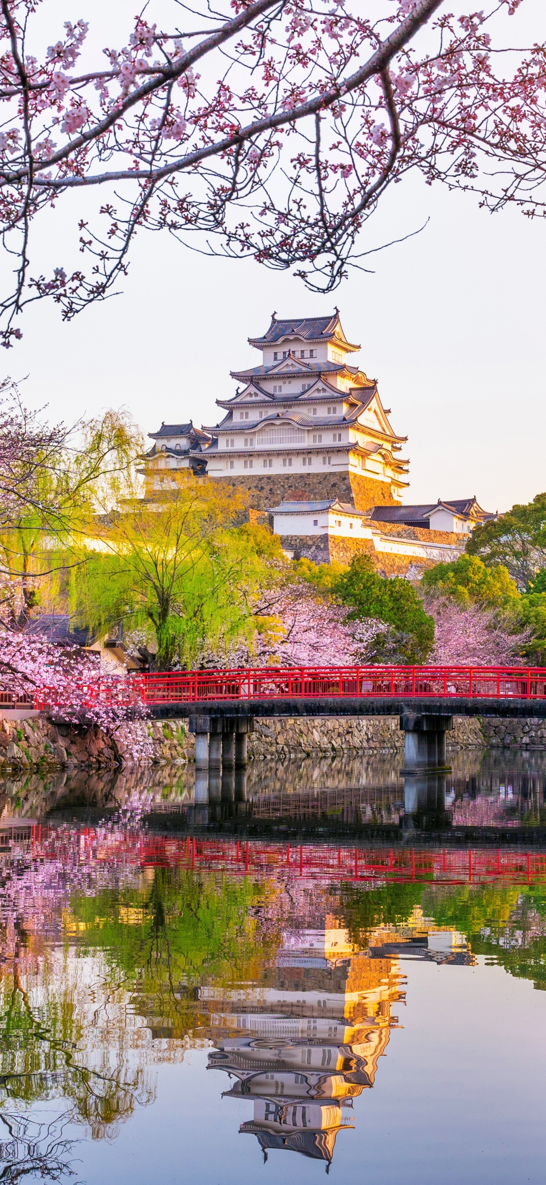 Baixar papel de parede para celular de Castelos, Sakura, Reflexão, Florescer, Floração, Japão, Primavera, Castelo, Feito Pelo Homem, Reflecção, Castelo Himeji gratuito.