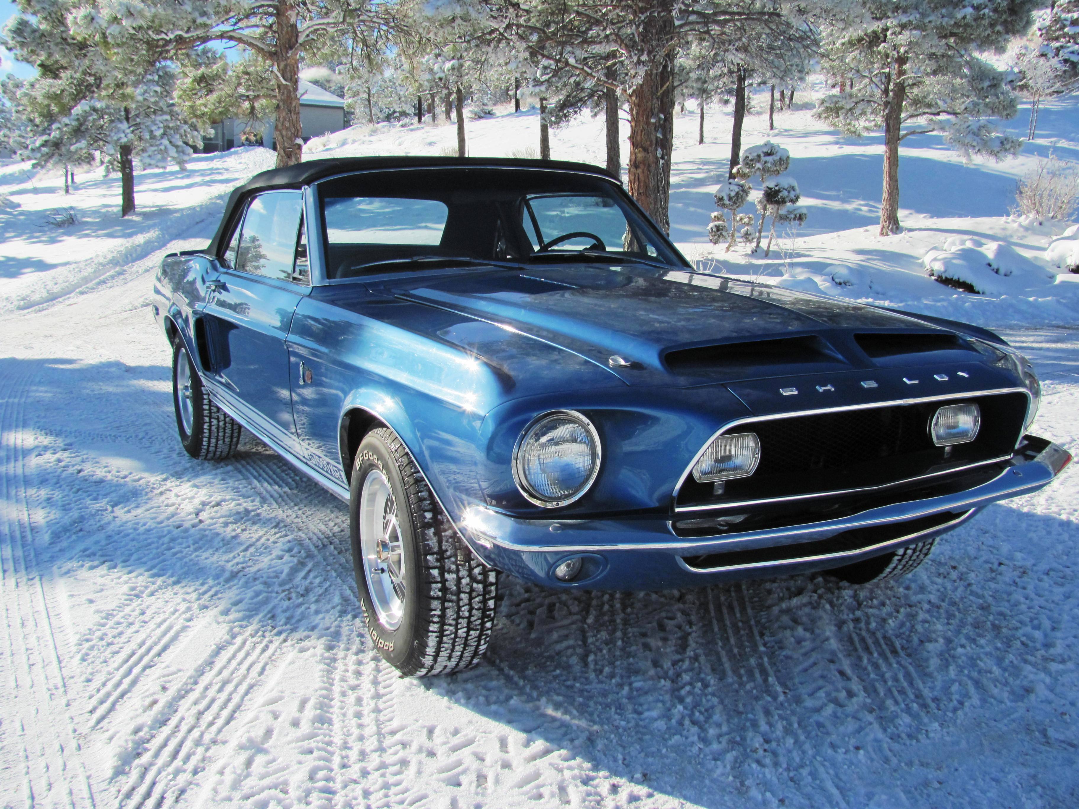 Free download wallpaper Snow, Ford, Car, Muscle Car, Vehicles, Shelby Cobra Gt500 King Of The Road on your PC desktop
