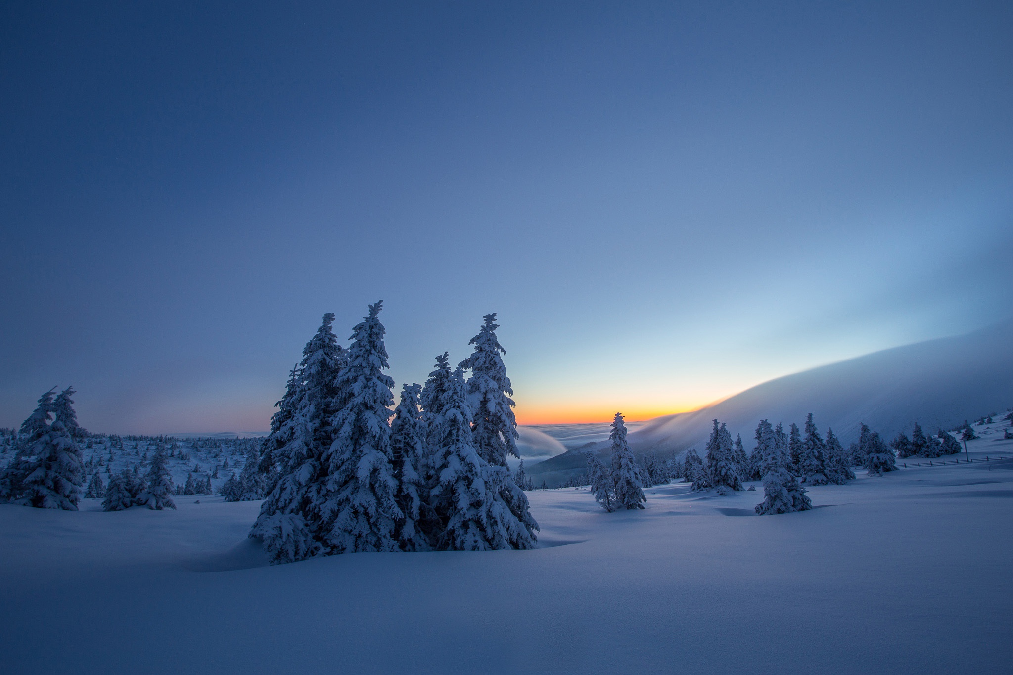 PCデスクトップに風景, 冬, 自然, 木, 雪, 日の出, 地球画像を無料でダウンロード