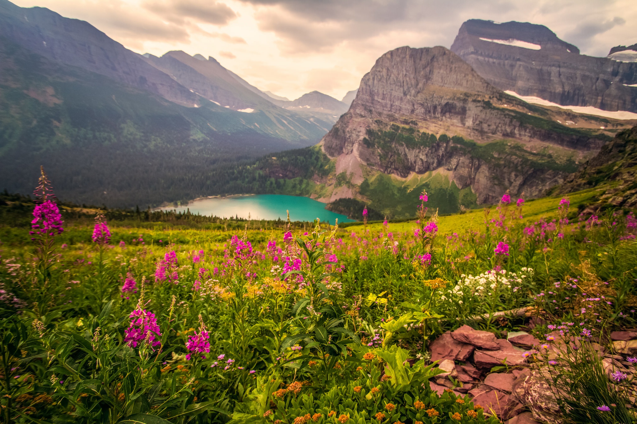 Download mobile wallpaper Landscape, Nature, Mountain, Lake, Flower, Earth, Pink Flower for free.