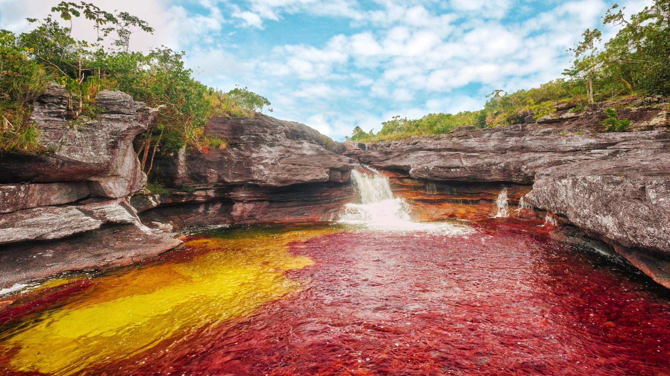 Meilleurs fonds d'écran Caño Cristales pour l'écran du téléphone