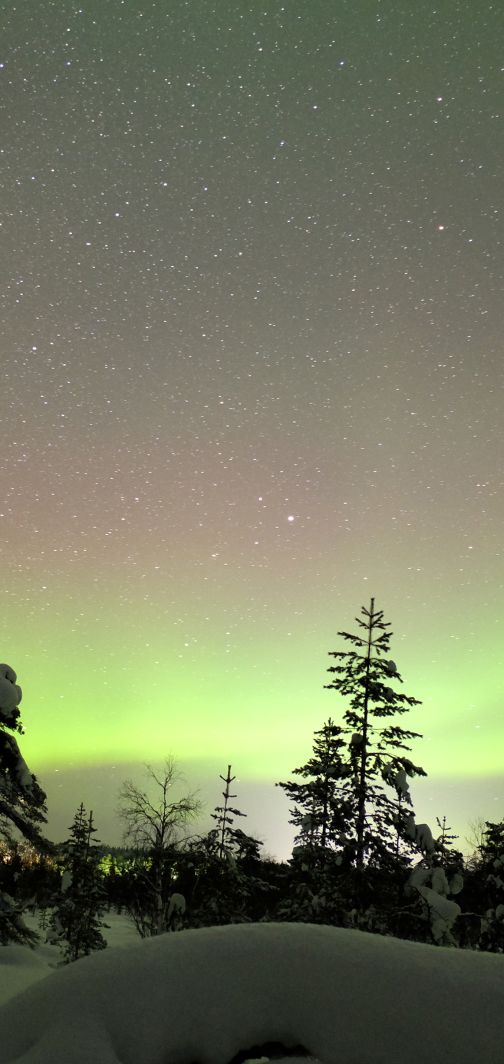 Скачать картинку Зима, Снег, Северное Сияние, Финляндия, Земля/природа в телефон бесплатно.