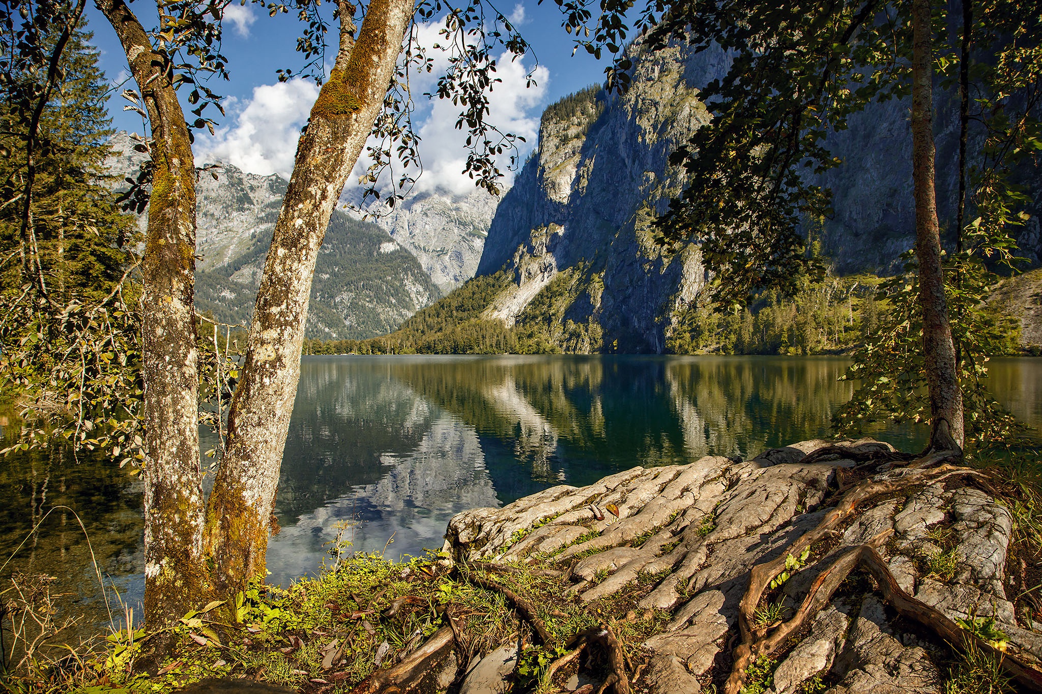 Скачать картинку Пейзаж, Облака, Гора, Озеро, Отражение, Дерево, Германия, Земля/природа в телефон бесплатно.