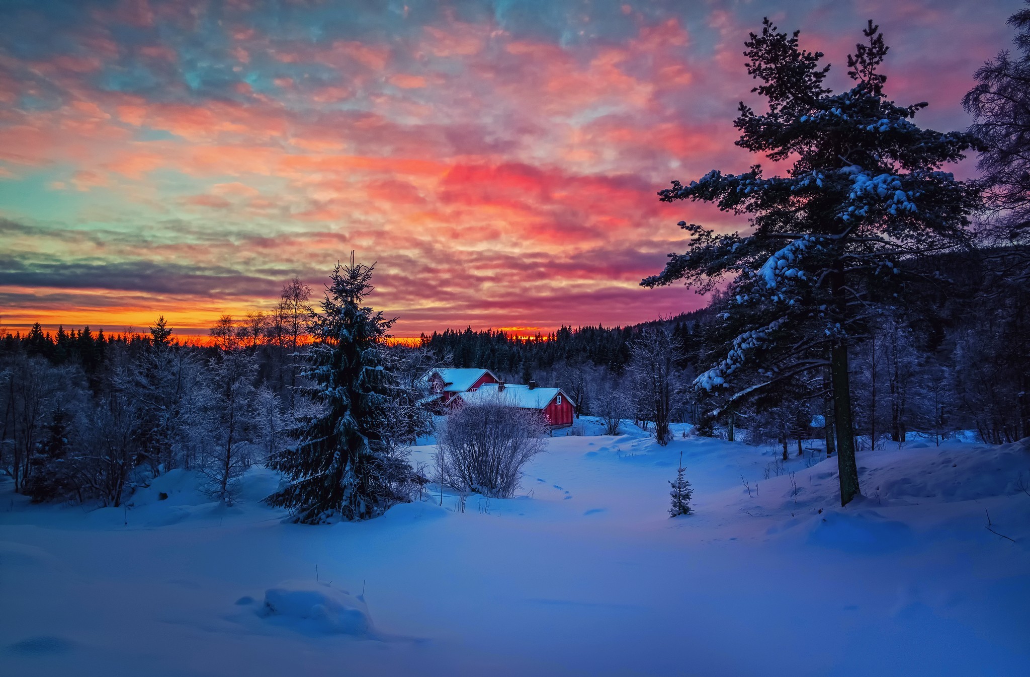 Download mobile wallpaper Winter, Sunset, Snow, Forest, Photography for free.