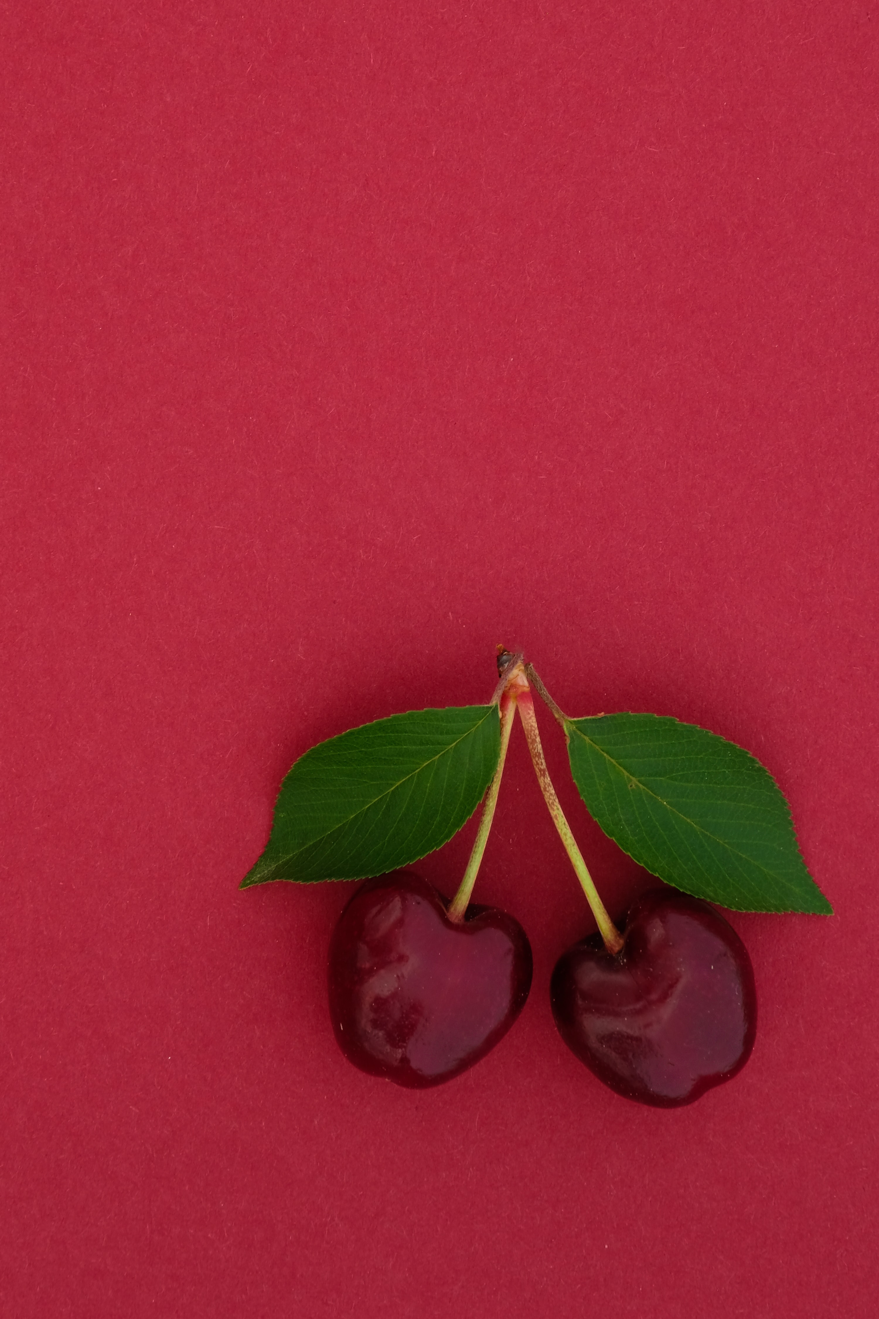 cherry, sweet cherry, food, leaves, berry mobile wallpaper