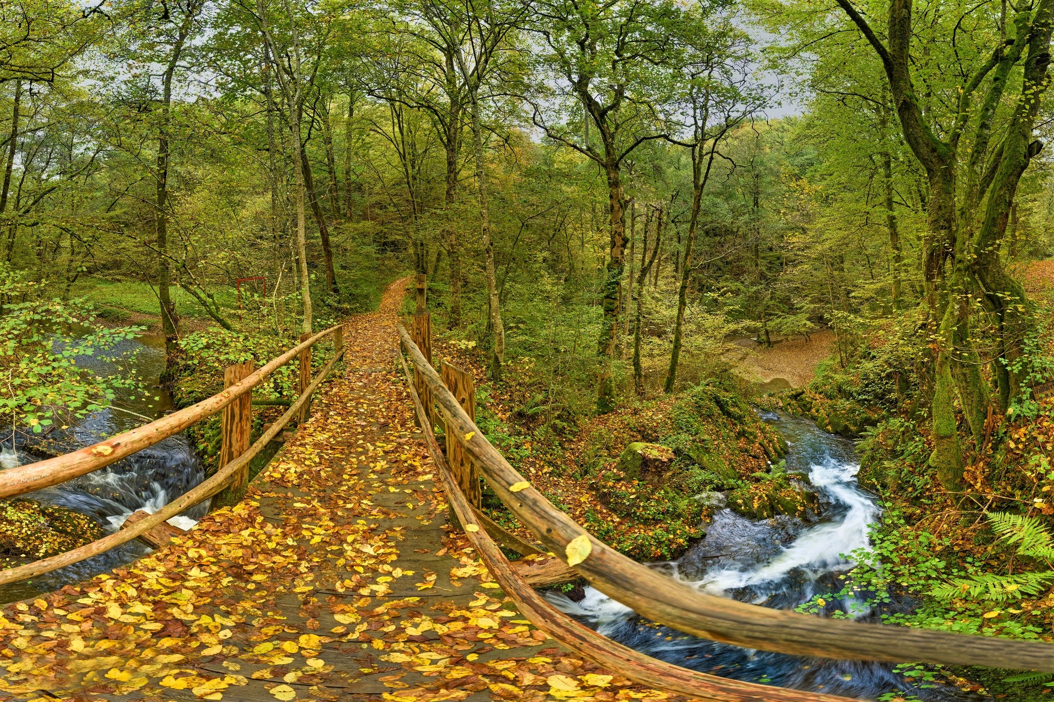 man made, bridge, fall, forest, river, wooden, bridges desktop HD wallpaper