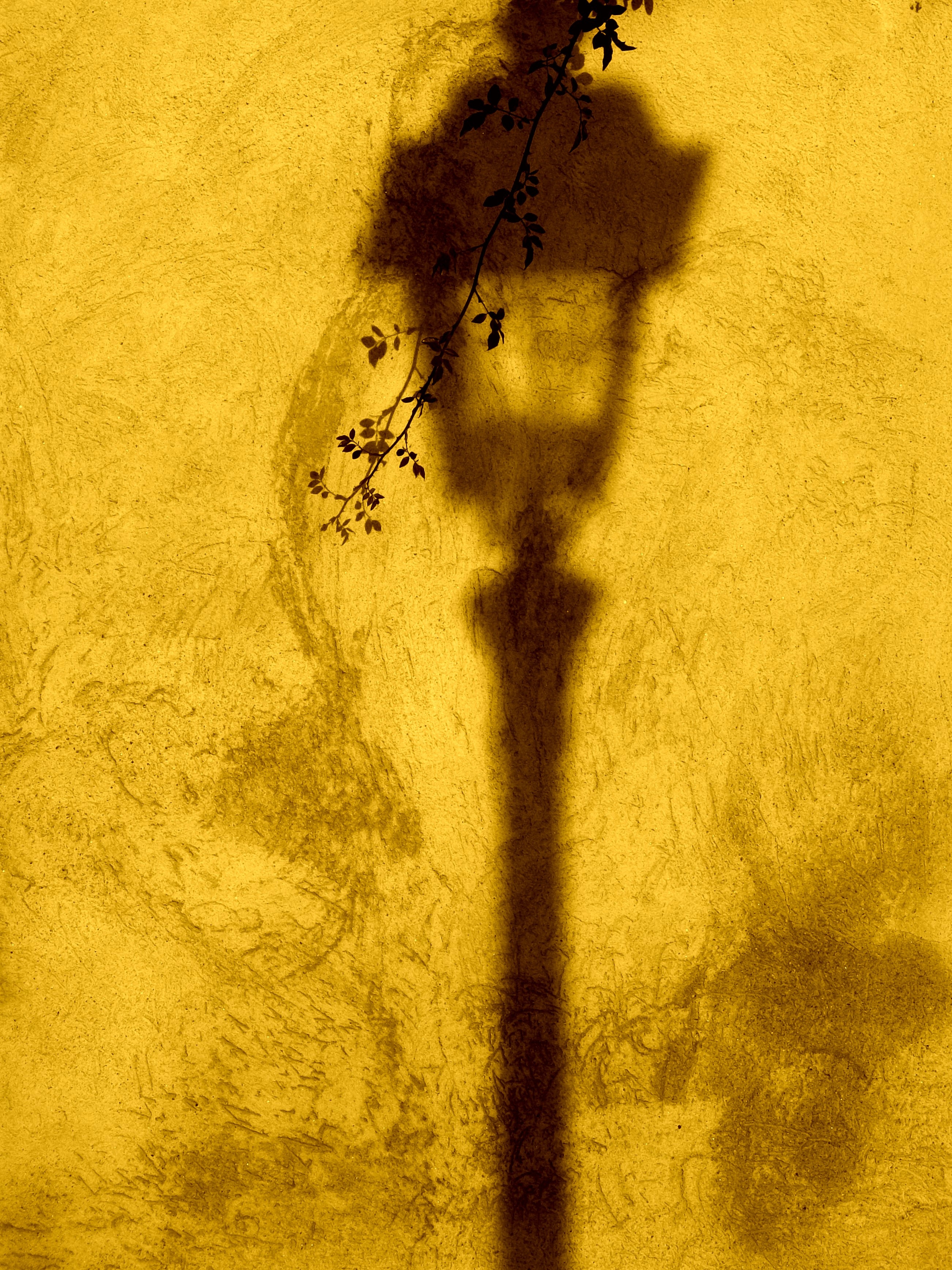 android lantern, lamp, yellow, texture, textures, branch, shadow, wall