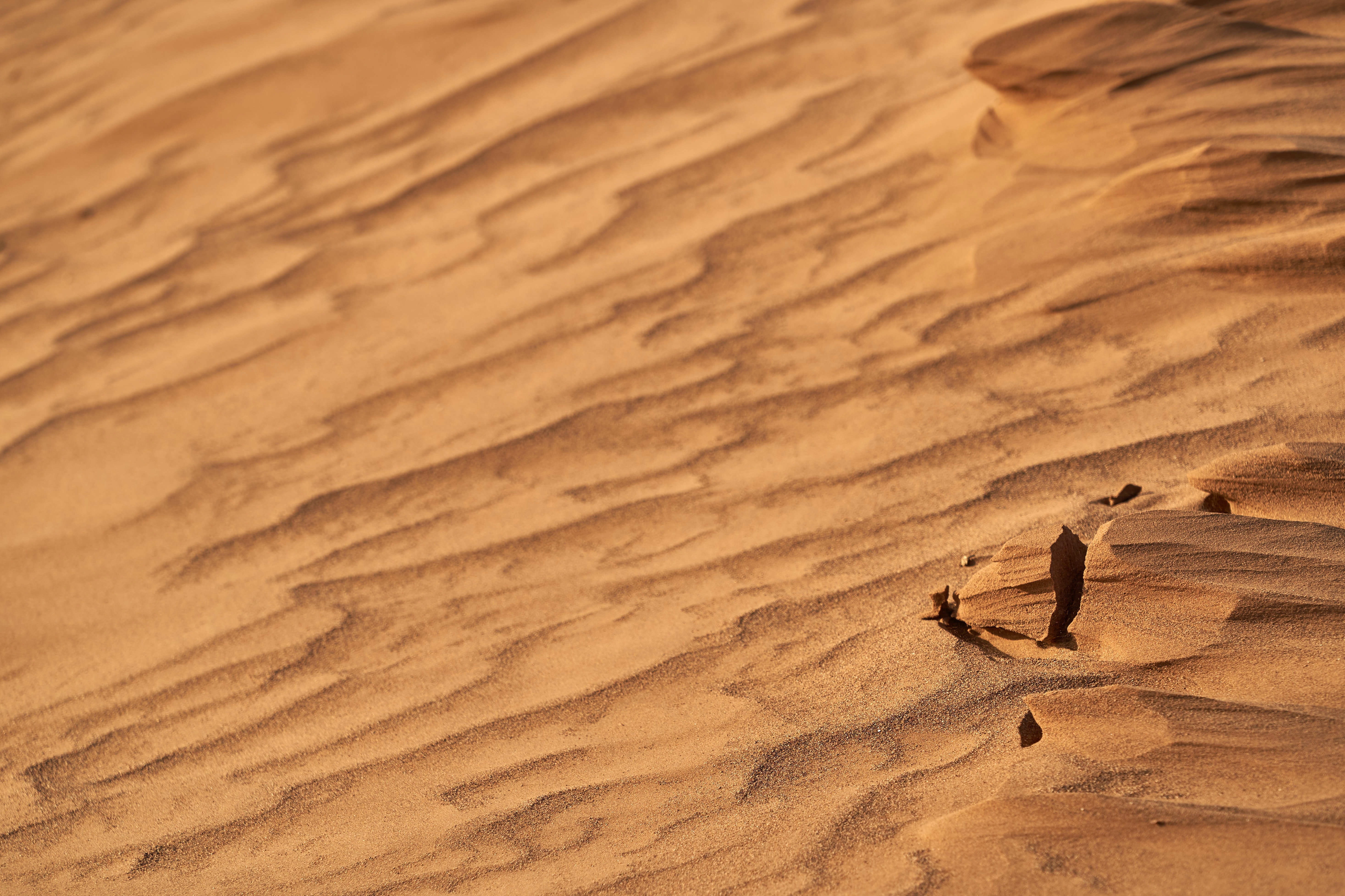 nature, sand, desert, wavy, dry 4K, Ultra HD