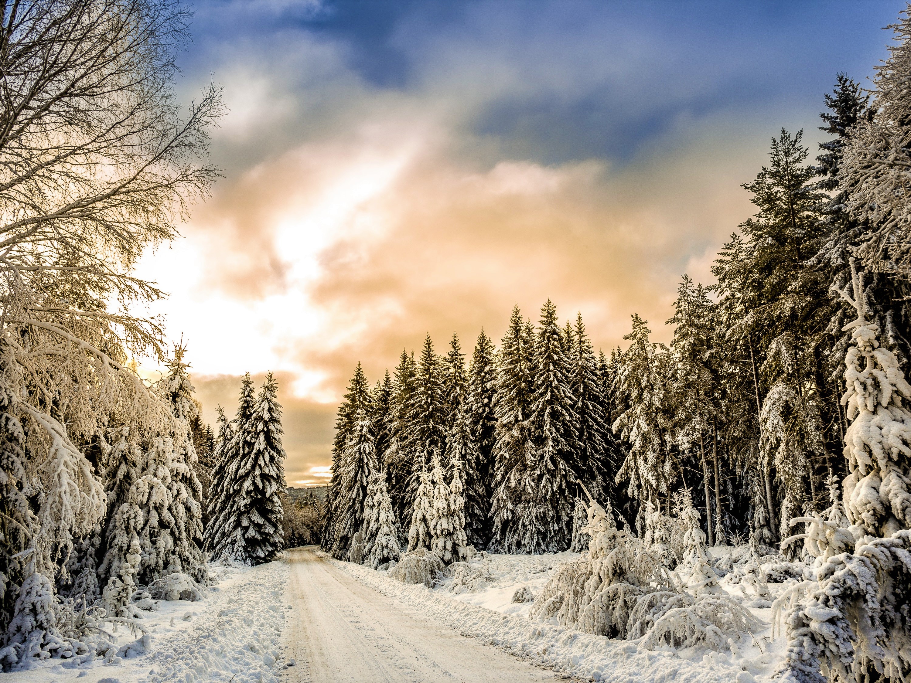 Free download wallpaper Winter, Snow, Road, Forest, Tree, Man Made on your PC desktop