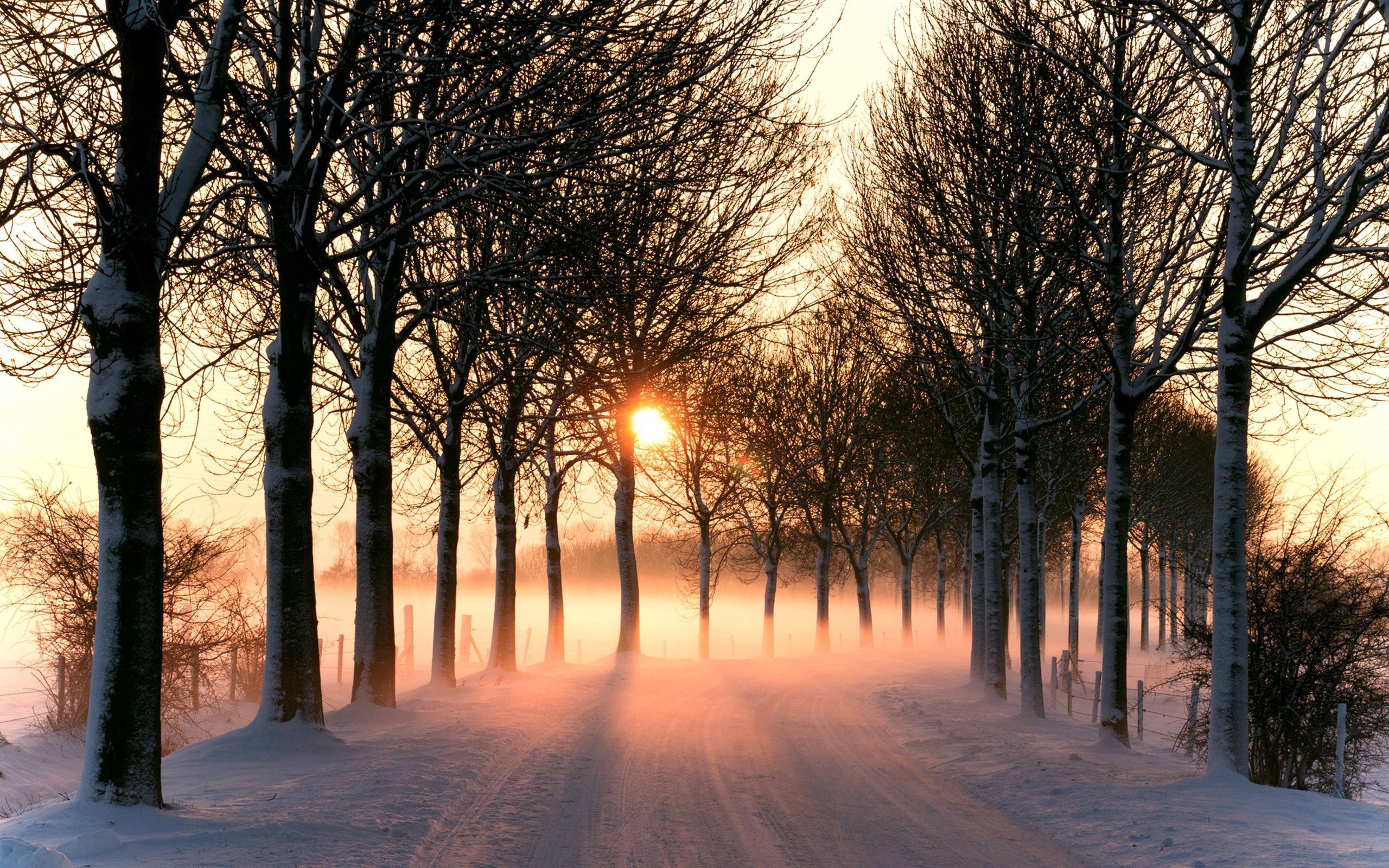 snow, winter, nature, road Desktop Wallpaper