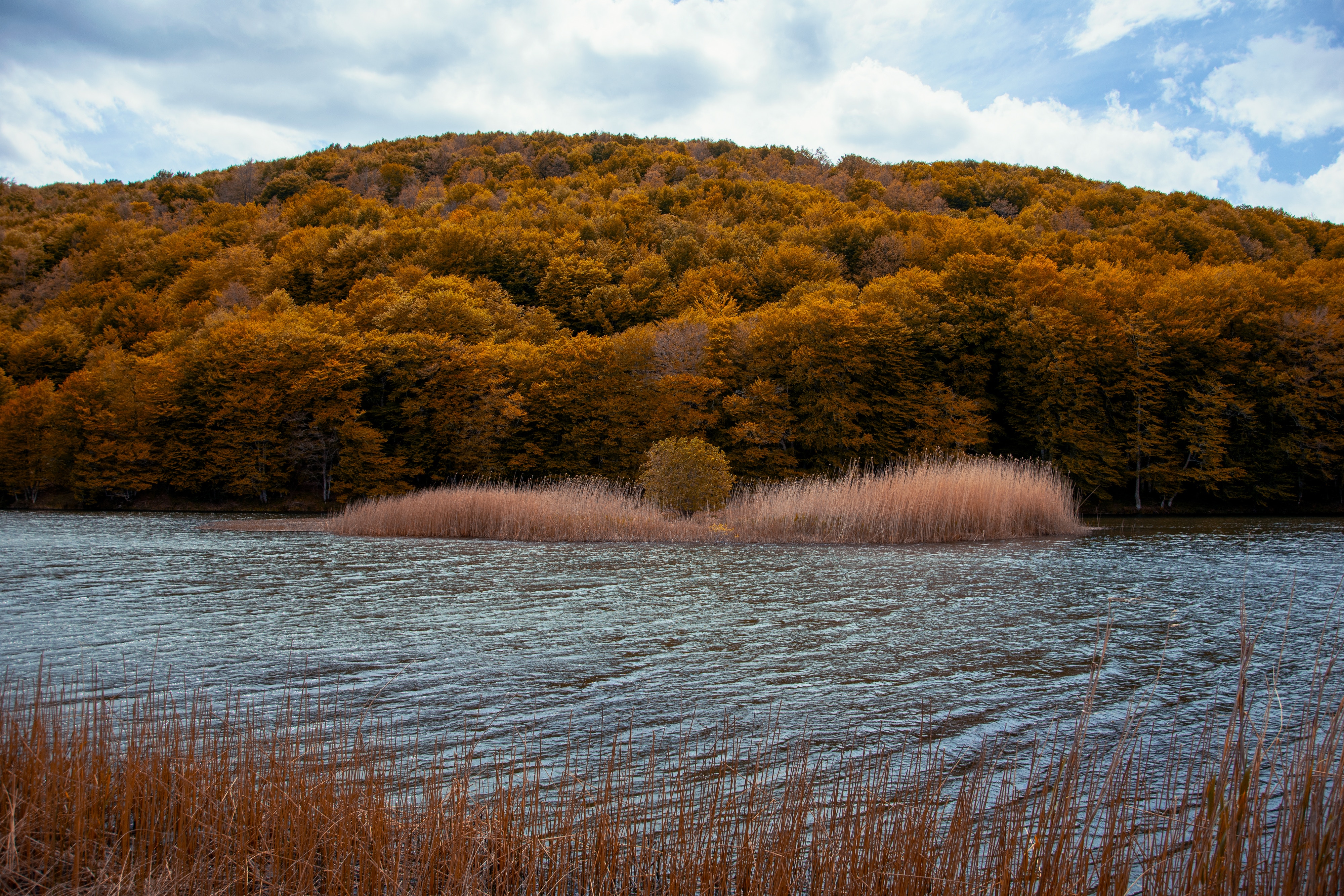 PCデスクトップに自然, 川, 木, 草, 秋画像を無料でダウンロード