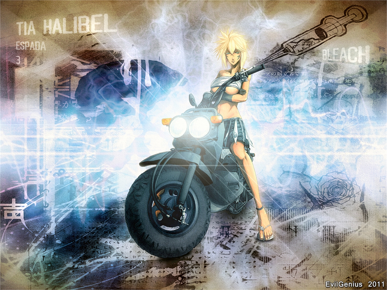 Download mobile wallpaper Anime, Bleach, Tier Halibel for free.