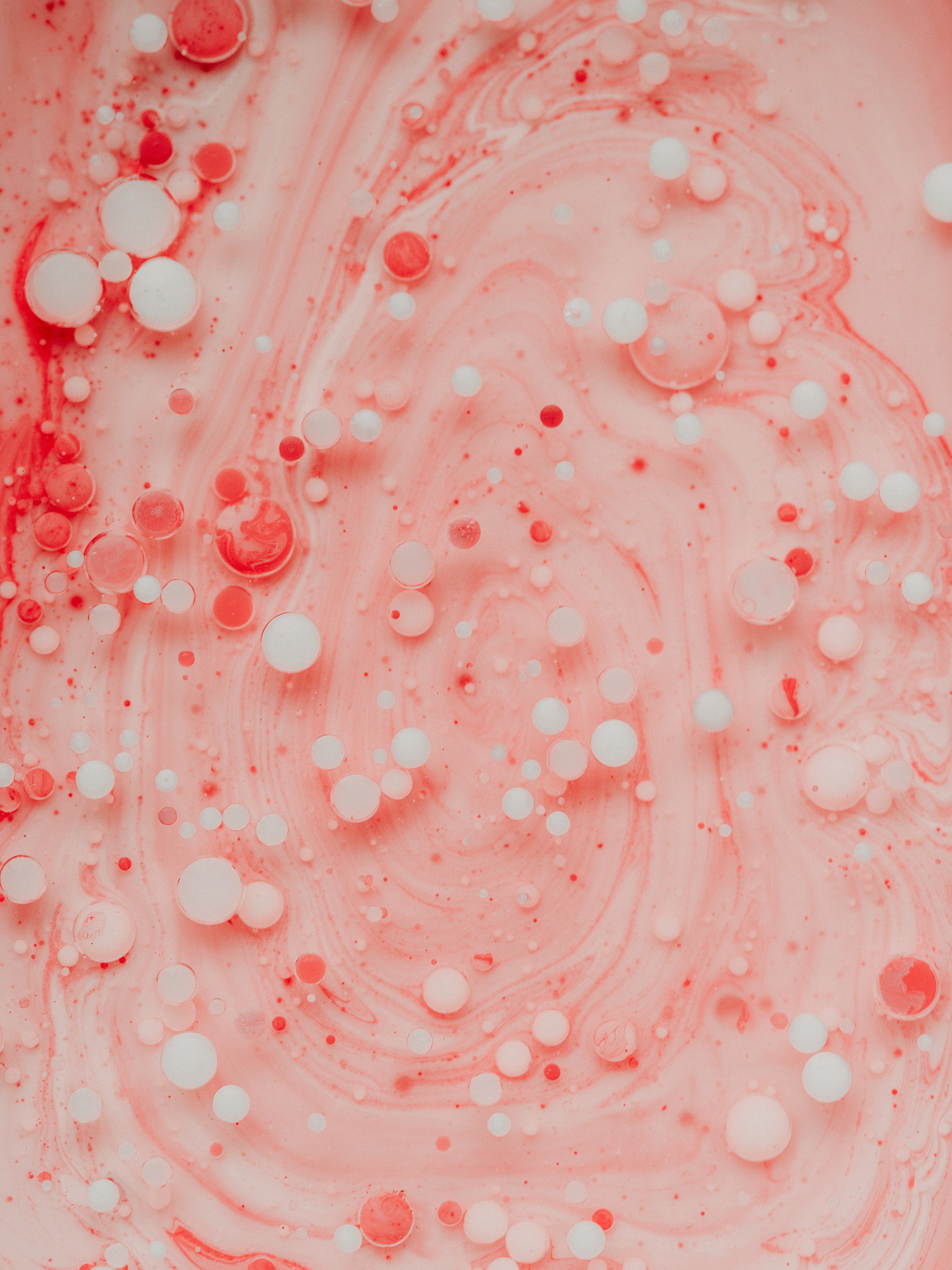 abstract, bubbles, pink, macro, divorces, paint 4K for PC