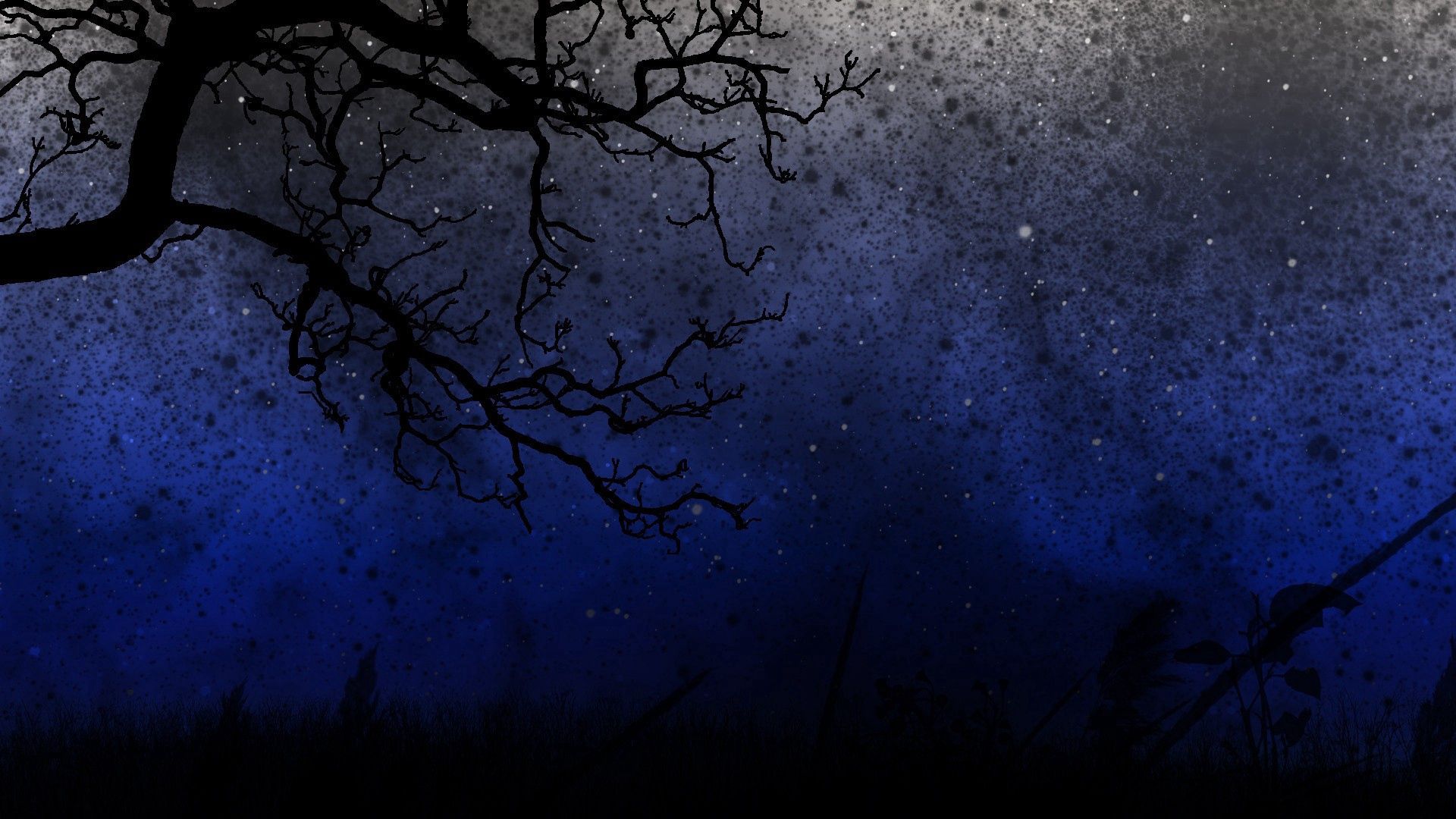 Download mobile wallpaper Sky, Trees, Night, Dark for free.