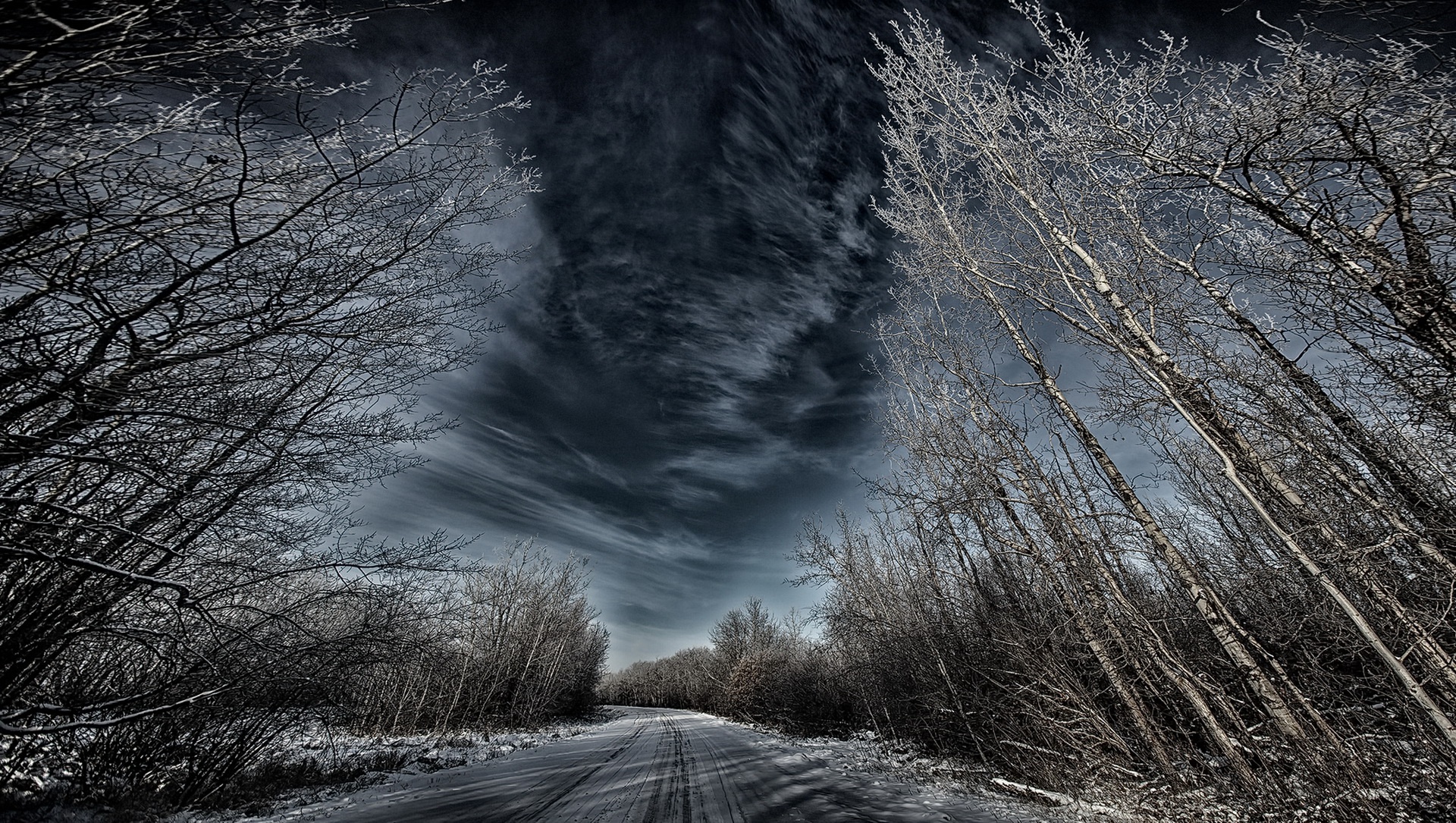 Winter Road Through a Forest - High-Quality Phone Wallpaper