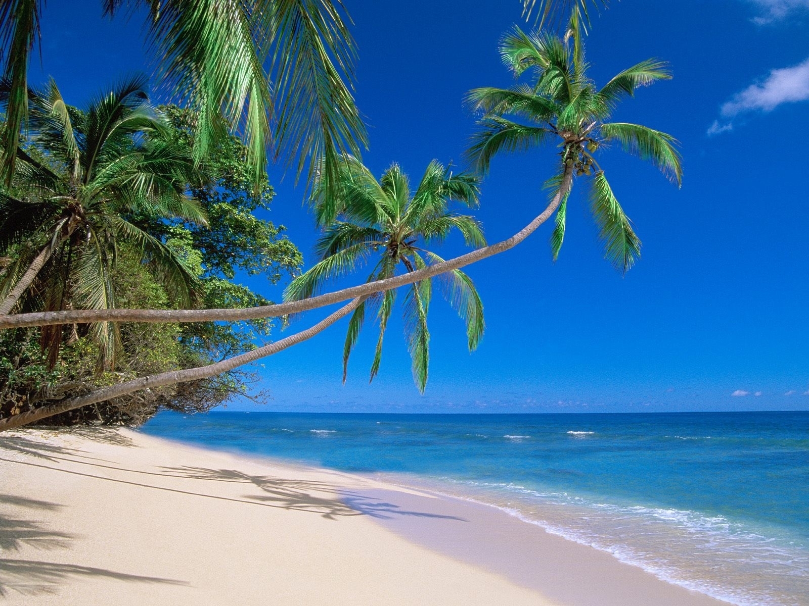 Скачать картинку Пейзаж, Пляж, Пальмы, Море в телефон бесплатно.