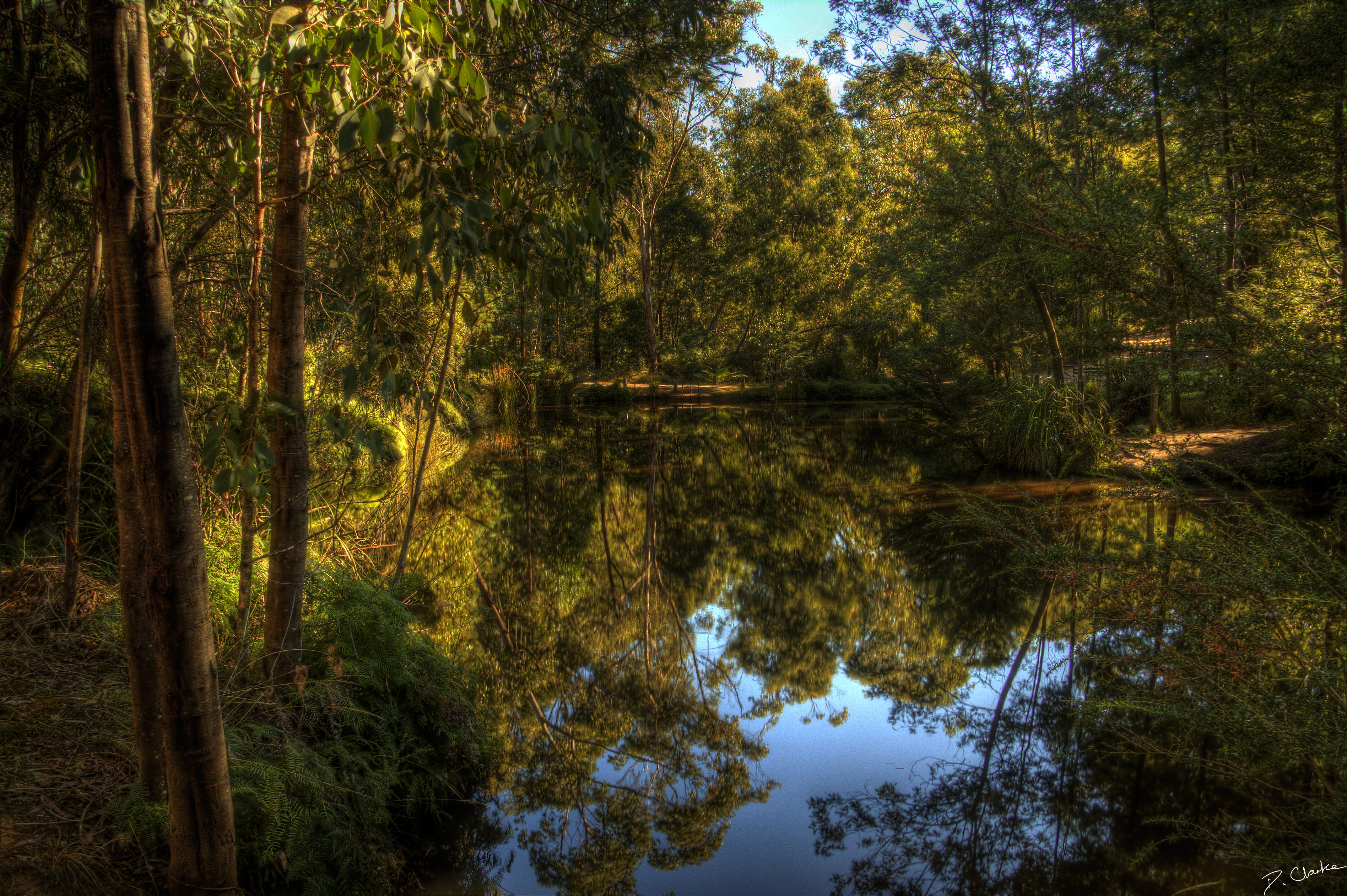 PCデスクトップに自然, 湖, 森林, 森, 風景画像を無料でダウンロード
