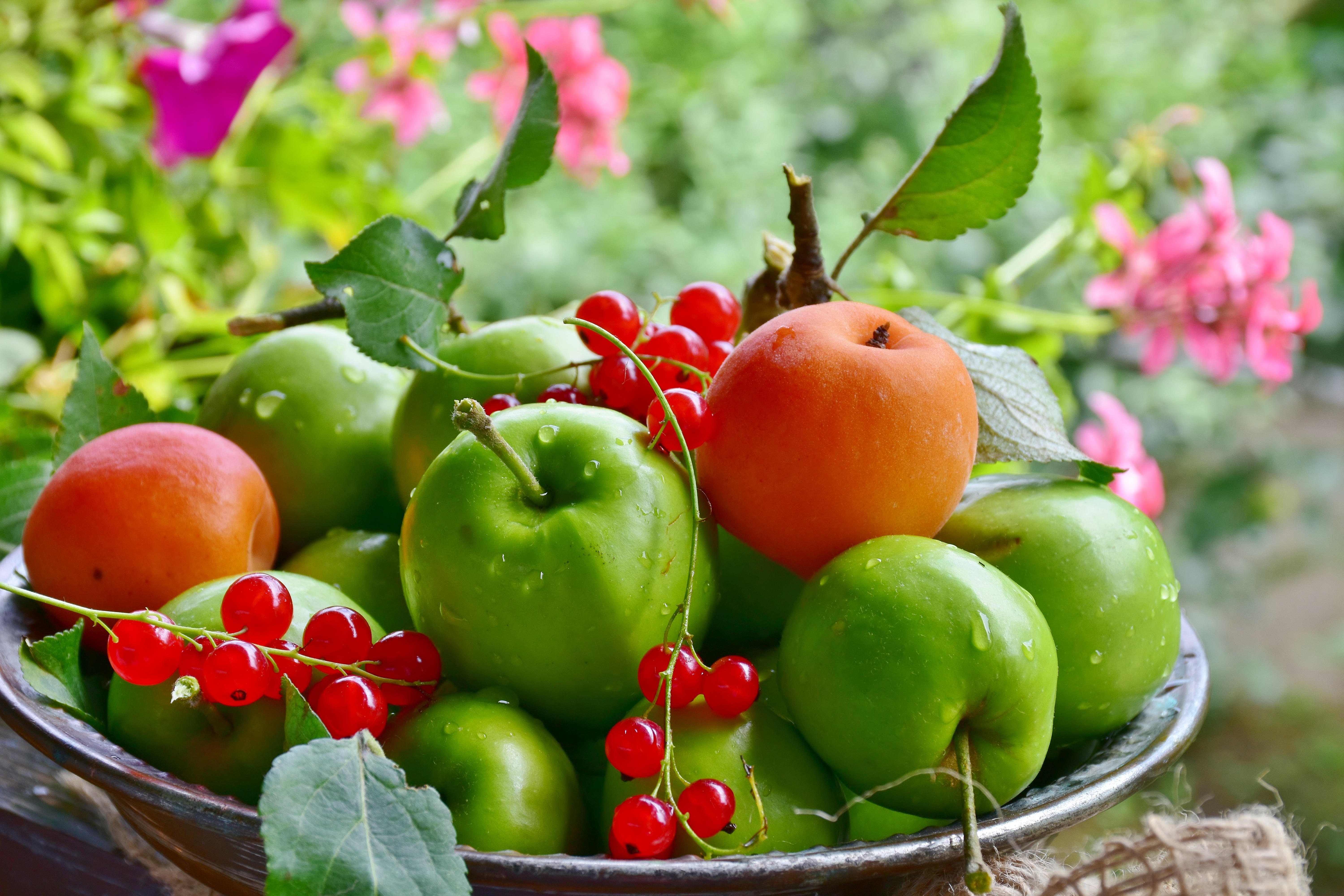 Free download wallpaper Fruits, Food, Apple, Still Life, Fruit on your PC desktop