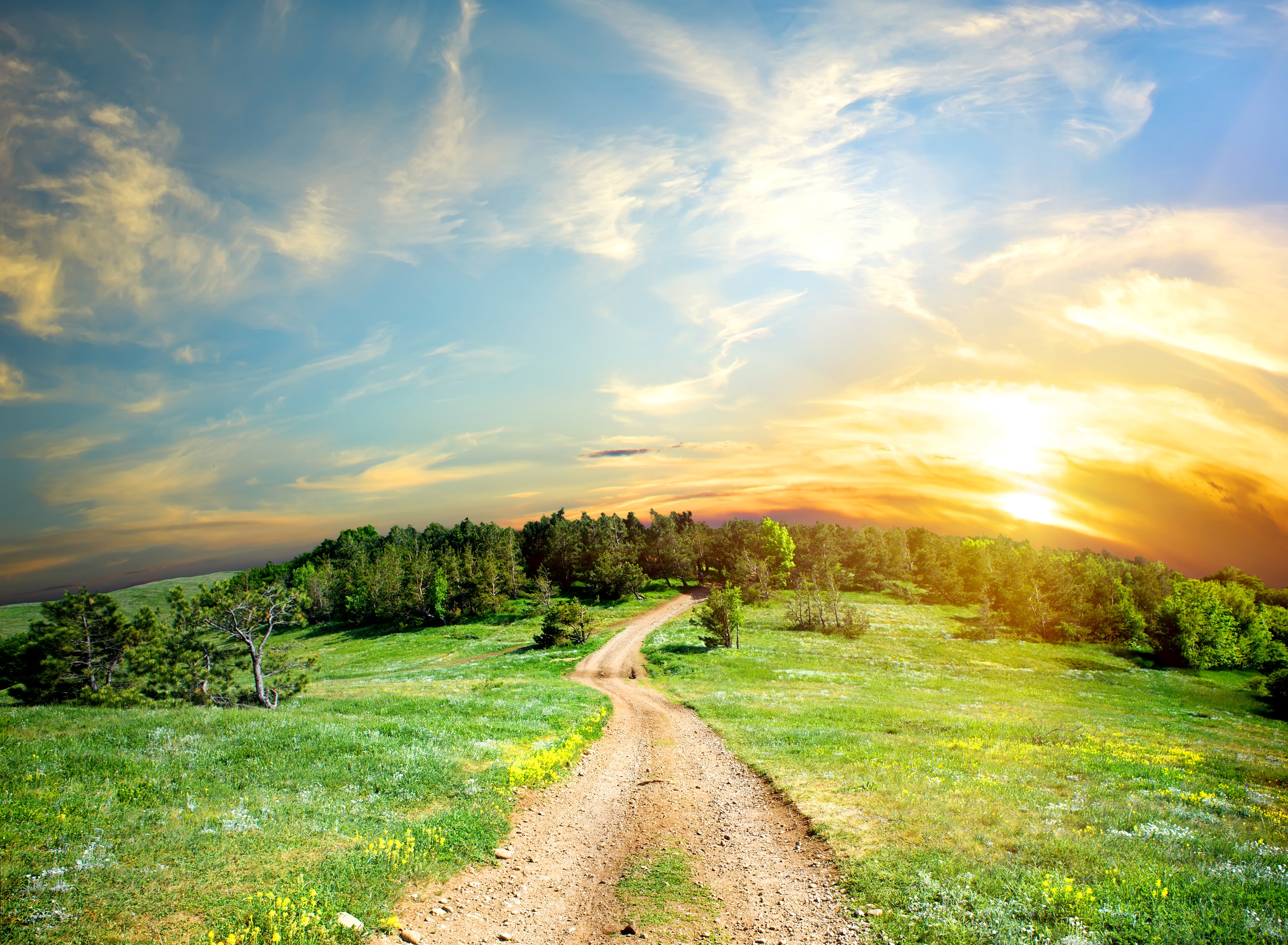 Laden Sie das Landschaft, Natur, Wald, Pfad, Himmel, Sonnenuntergang, Erde/natur-Bild kostenlos auf Ihren PC-Desktop herunter