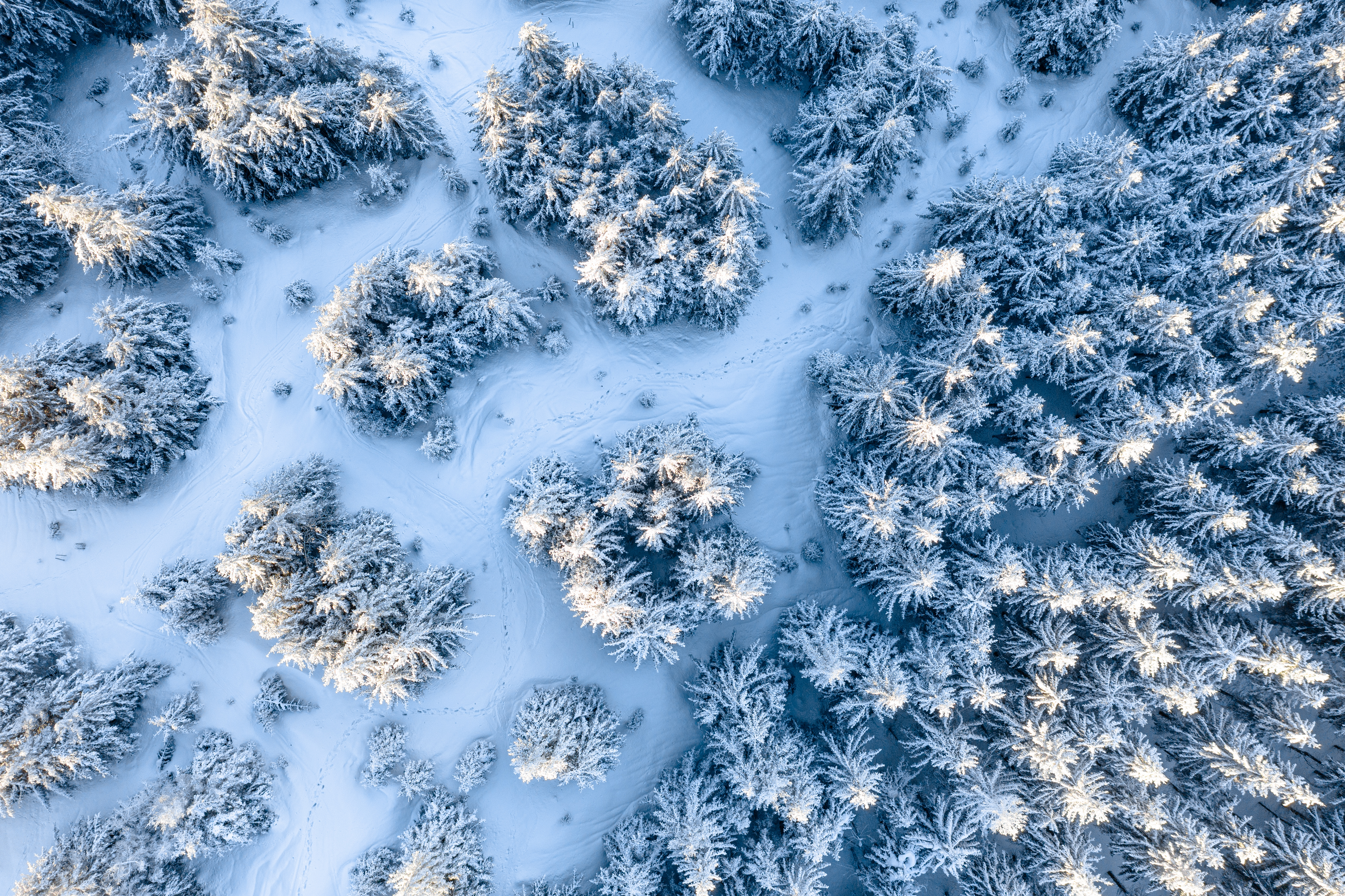 Скачать обои бесплатно Снег, Вид Сверху, Природа, Деревья, Белый, Зима картинка на рабочий стол ПК