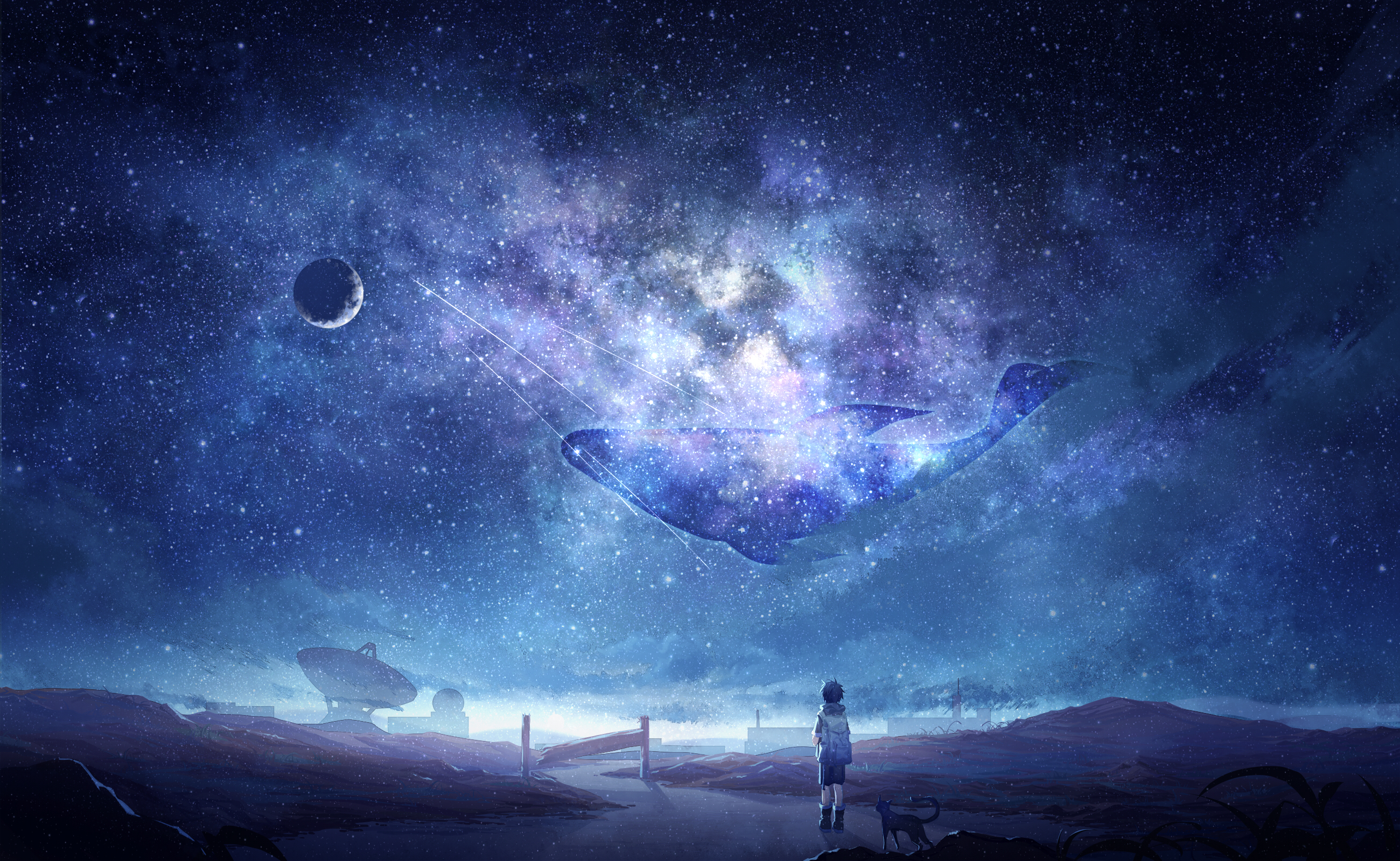 Download mobile wallpaper Anime, Sky, Stars, Night, Cat, Child, Whale, Original for free.