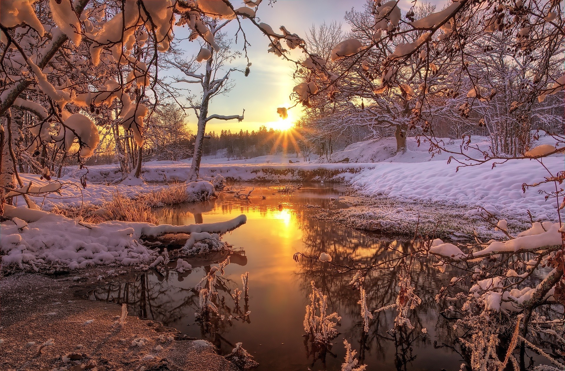 Free download wallpaper Winter, Sunset, Sun, Snow, Tree, Earth on your PC desktop