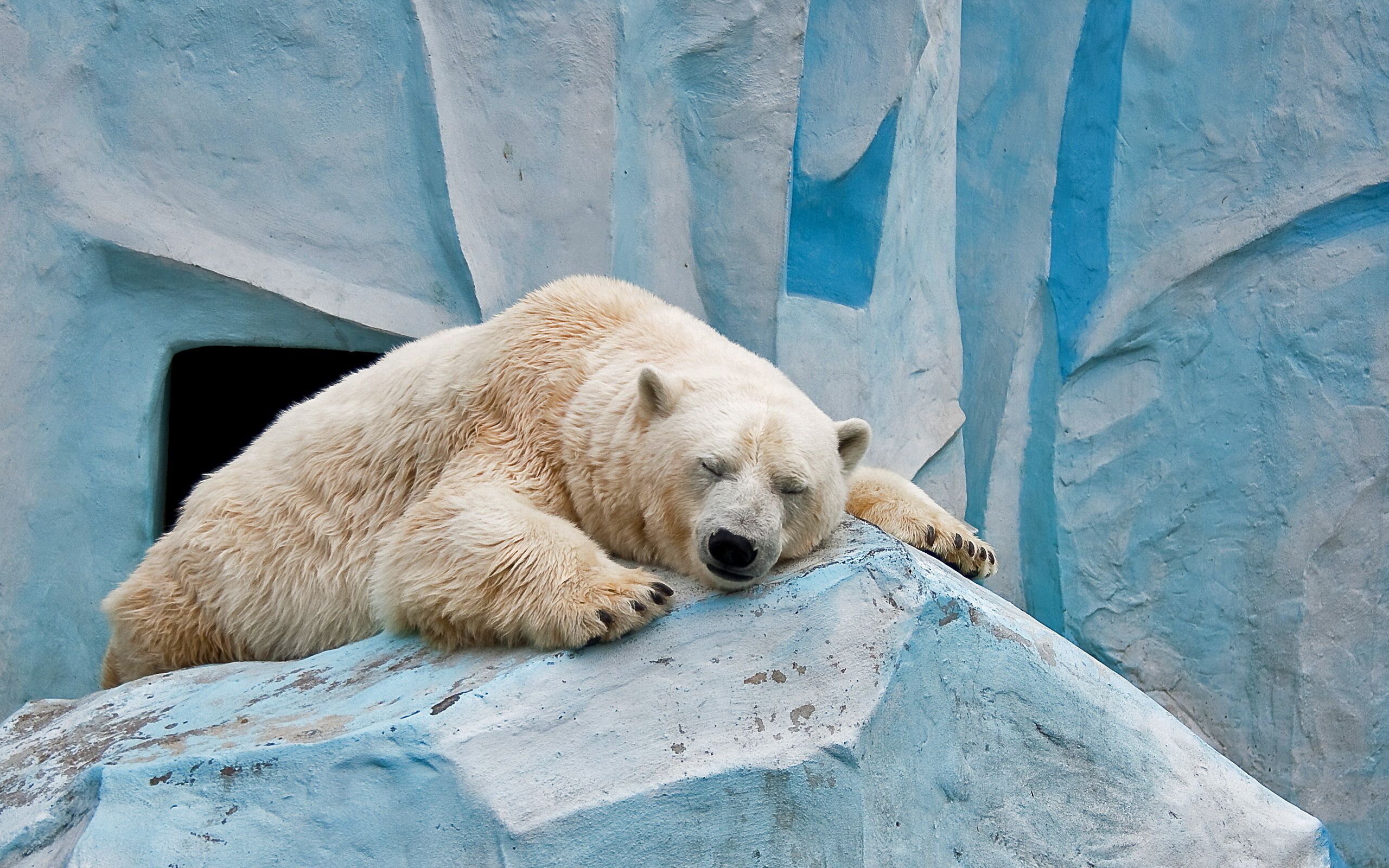 144930 скачать обои белый медведь, животные, лежать, камни, лед - заставки и картинки бесплатно