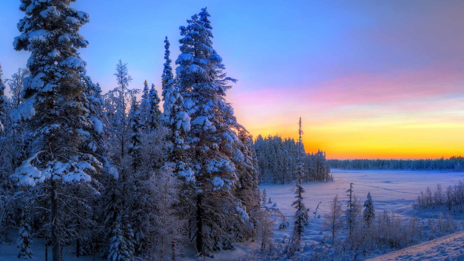 Скачать обои бесплатно Зима, Закат, Снег, Лес, Дерево, Земля/природа картинка на рабочий стол ПК