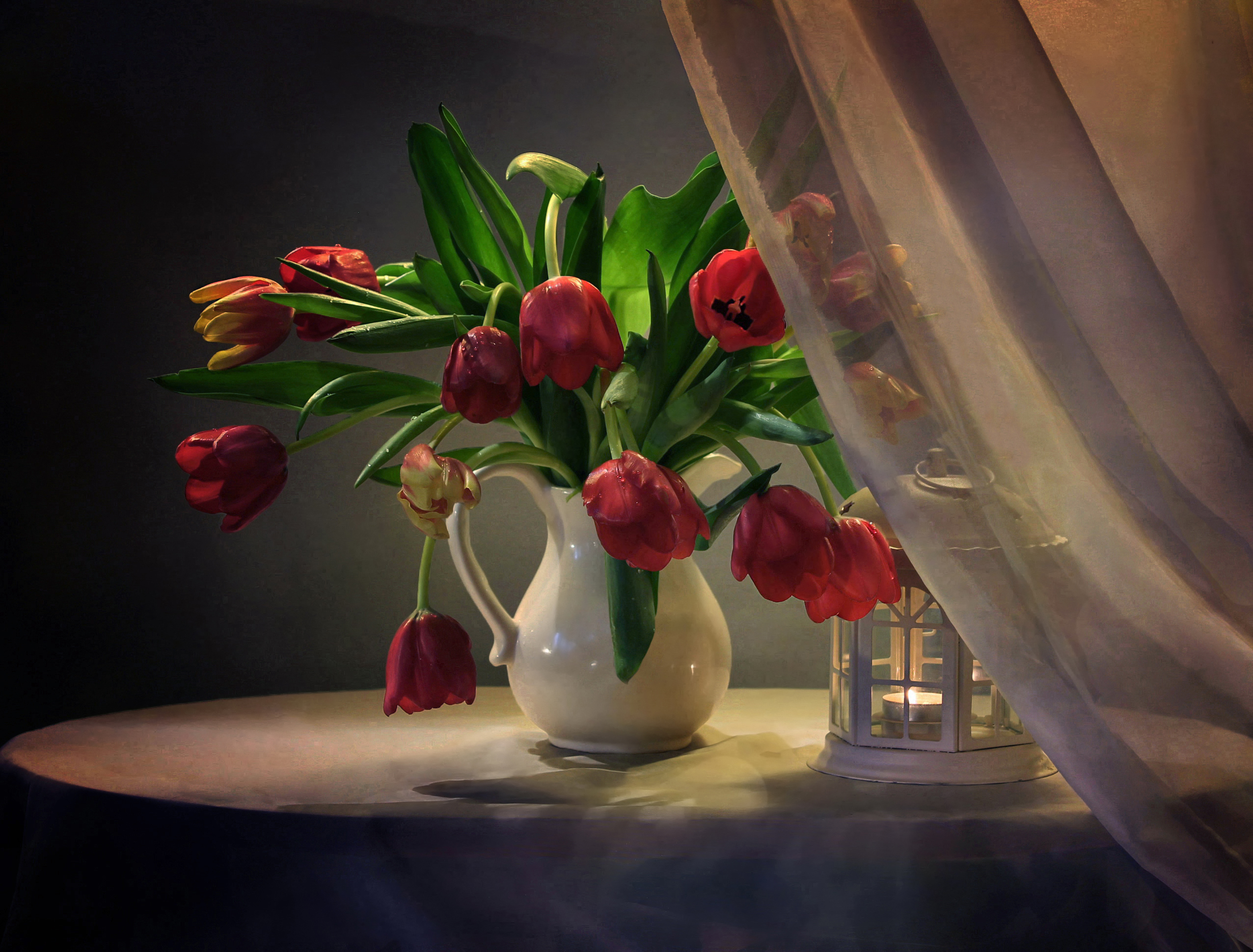 photography, still life, candle, curtain, lantern, red flower, tulip, vase