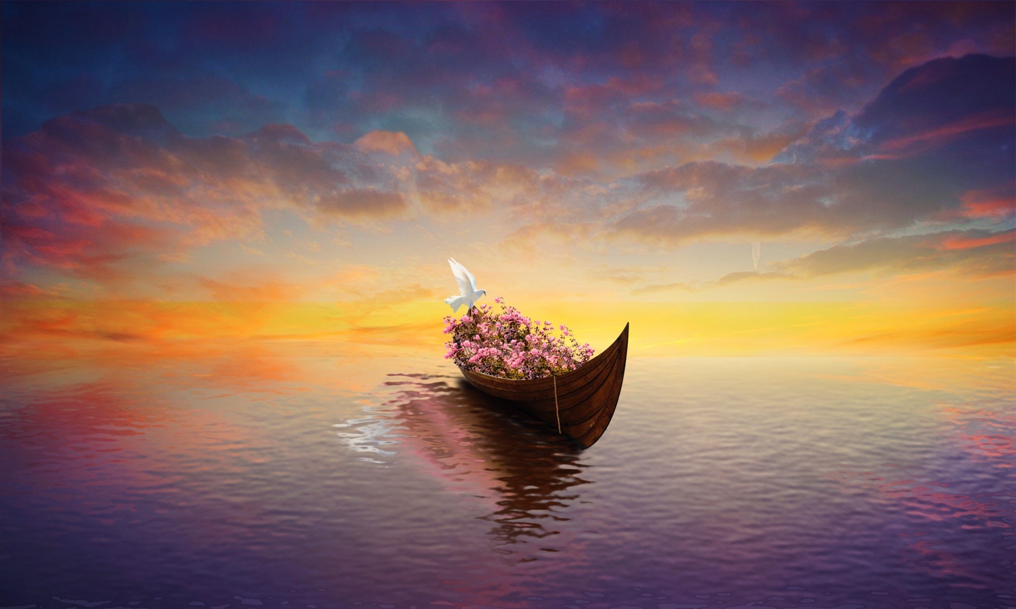 869511 descargar imagen artístico, bote, canoa, paloma, flor, horizonte: fondos de pantalla y protectores de pantalla gratis