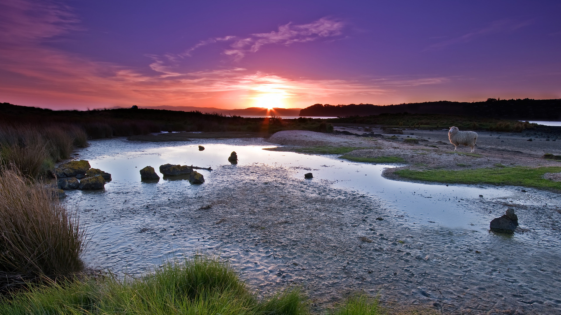 Descarga gratis la imagen Paisaje, Tierra/naturaleza en el escritorio de tu PC