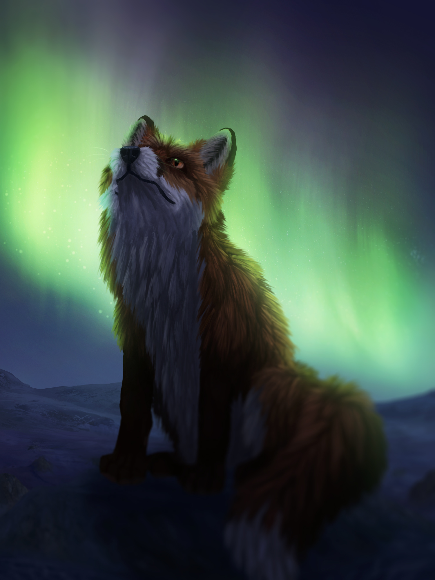 art, night, fox, dark, northern lights, aurora borealis