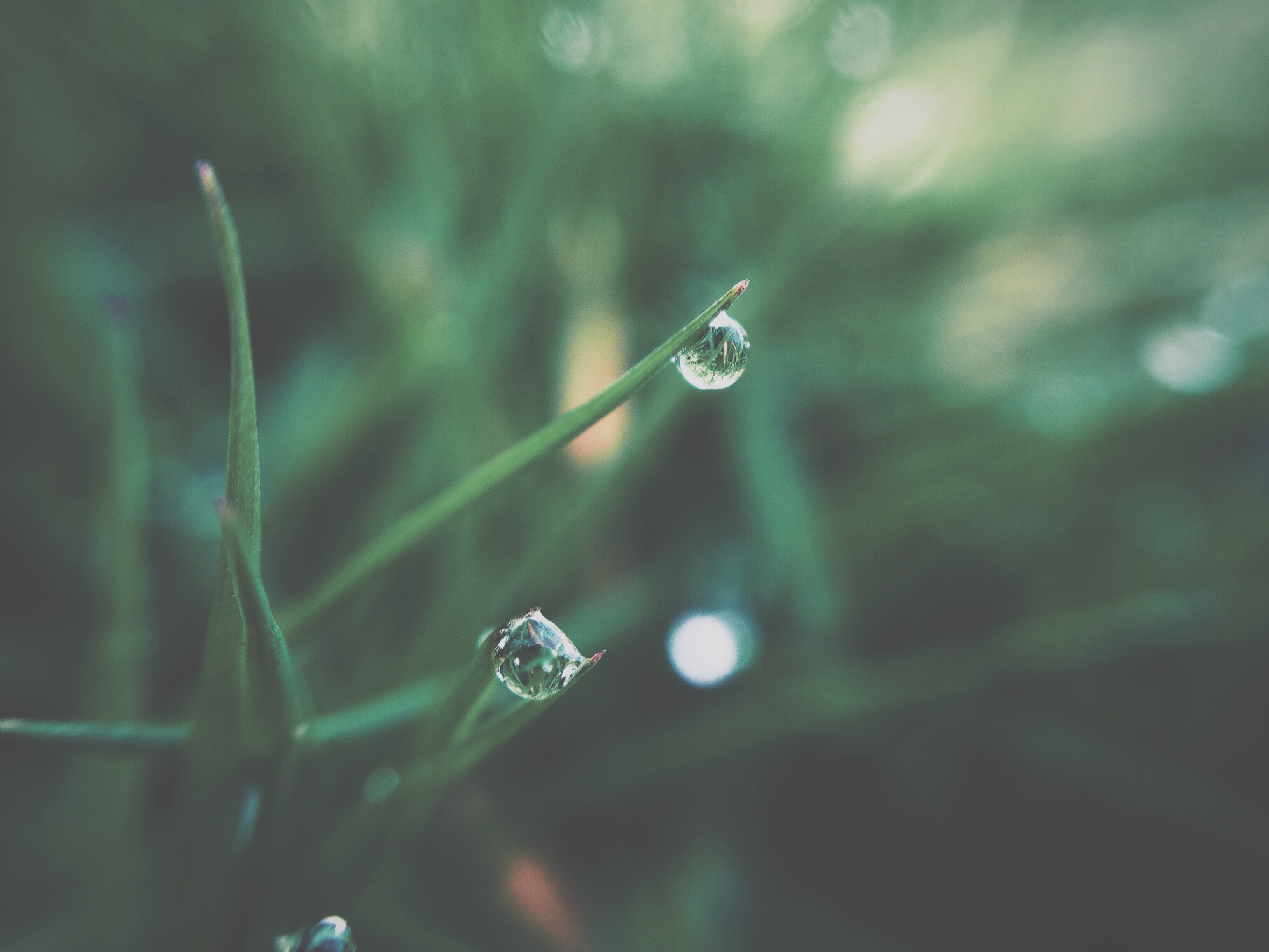 Download mobile wallpaper Nature, Grass, Reflection, Macro, Earth, Water Drop for free.