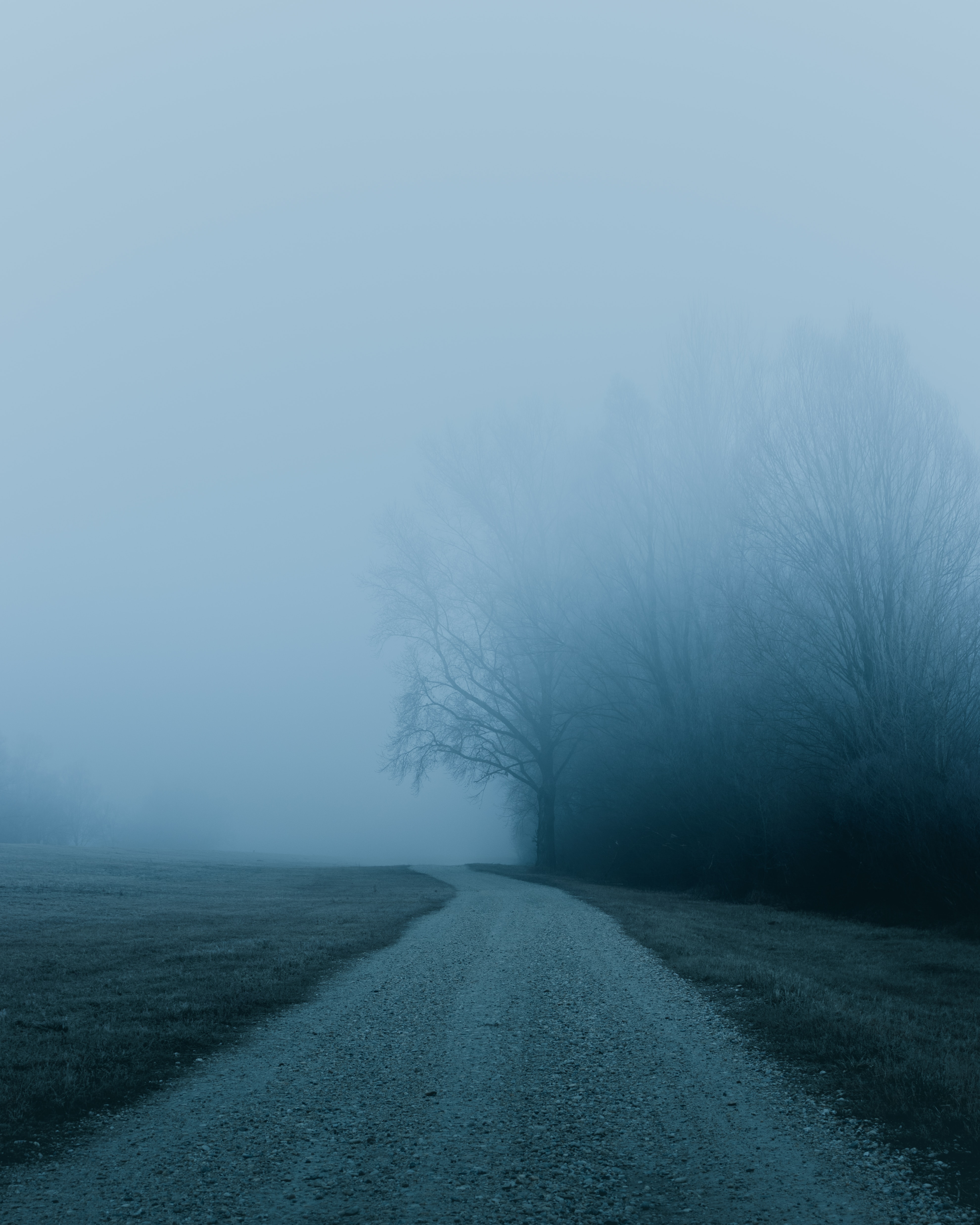 Download mobile wallpaper Trees, Road, Fog, Nature for free.