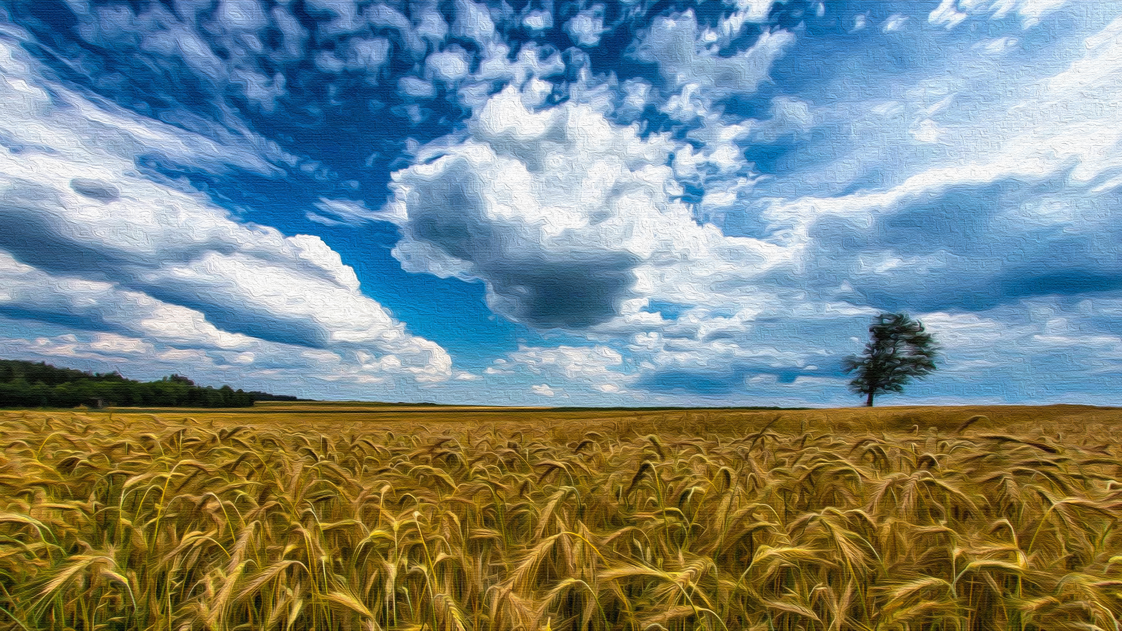 Завантажити шпалери безкоштовно Пшениця, Земля, Хмара картинка на робочий стіл ПК
