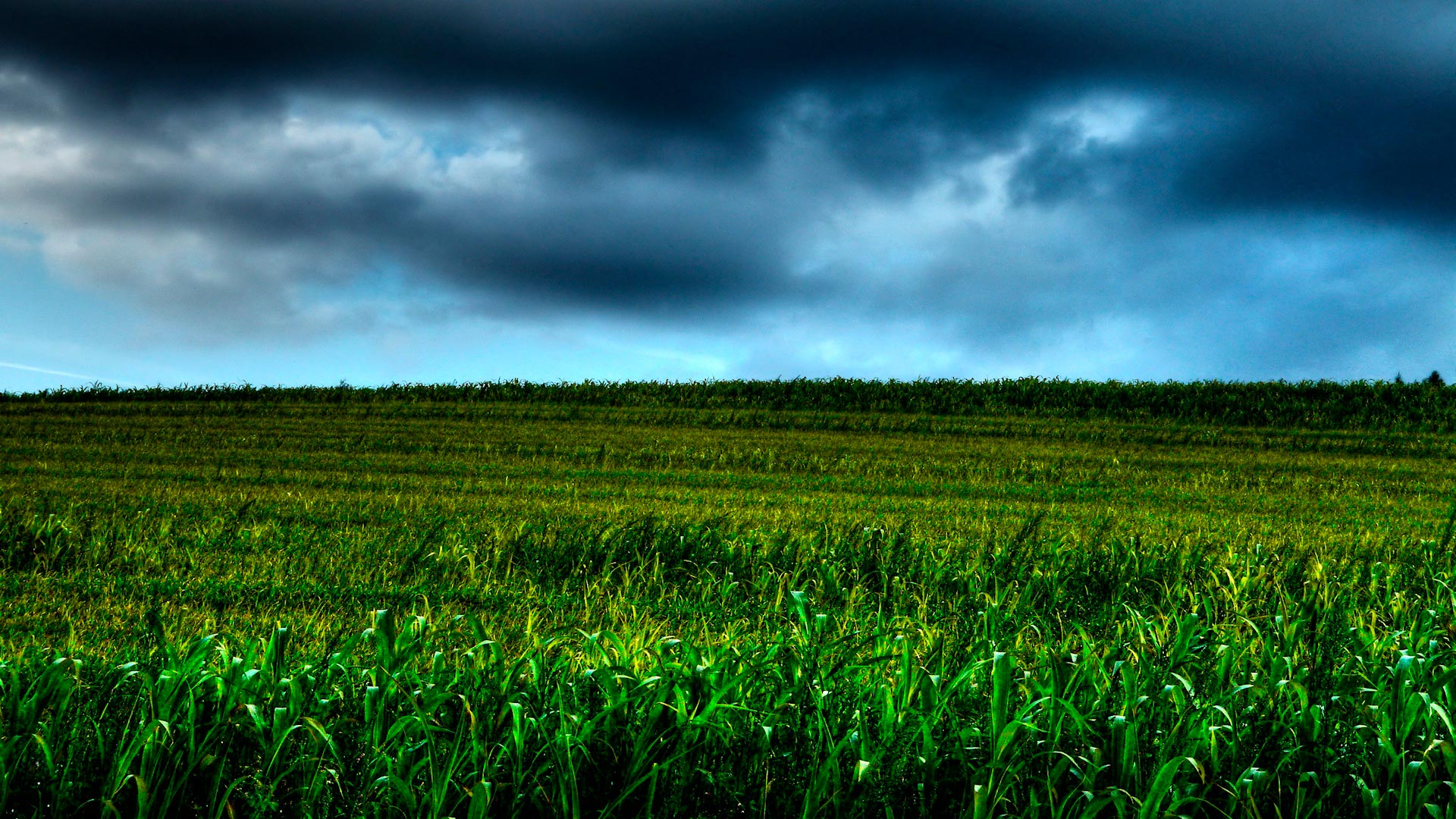 Handy-Wallpaper Feld, Erde/natur kostenlos herunterladen.