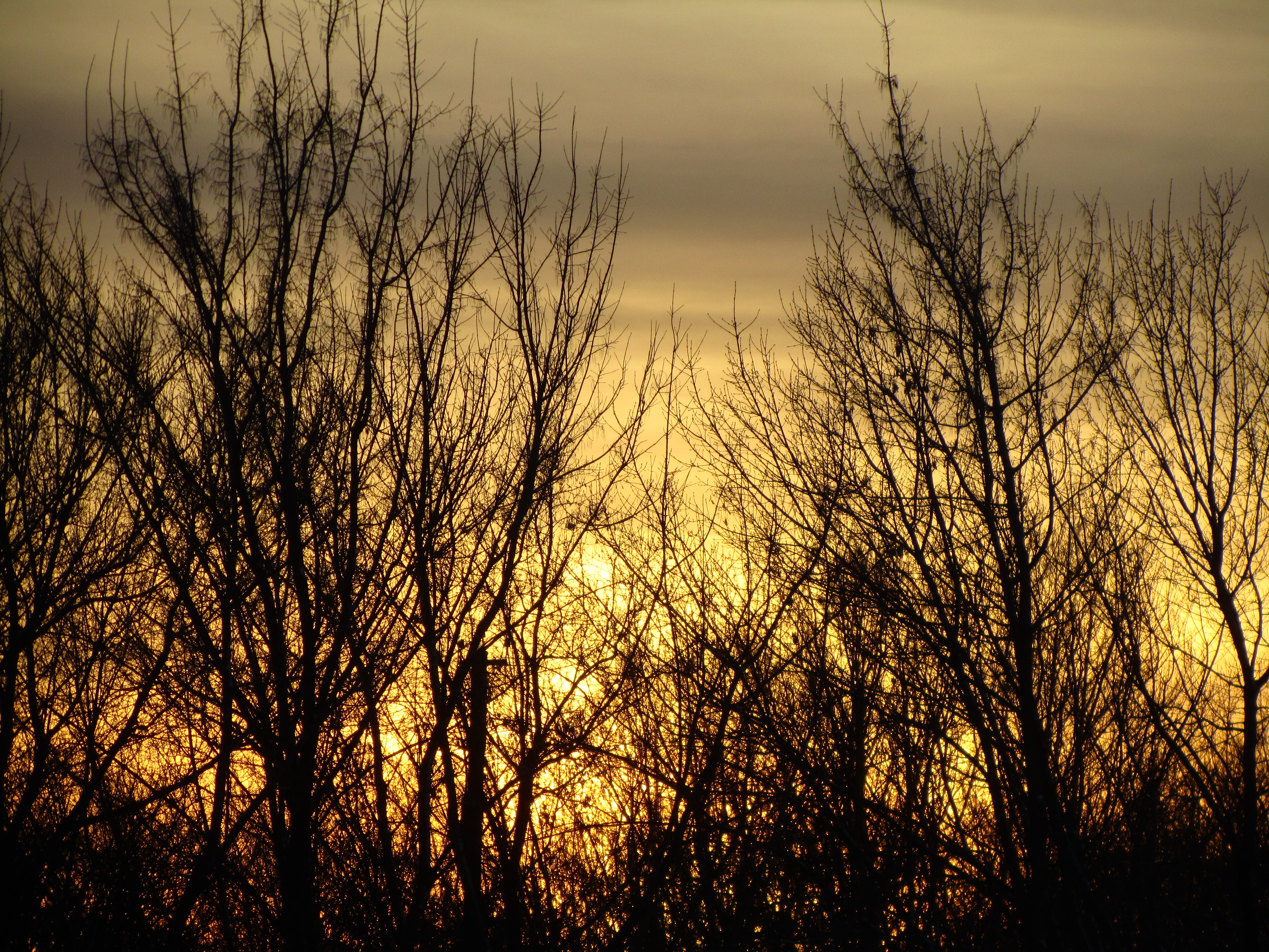 Laden Sie das Sonnenuntergang, Erde/natur-Bild kostenlos auf Ihren PC-Desktop herunter