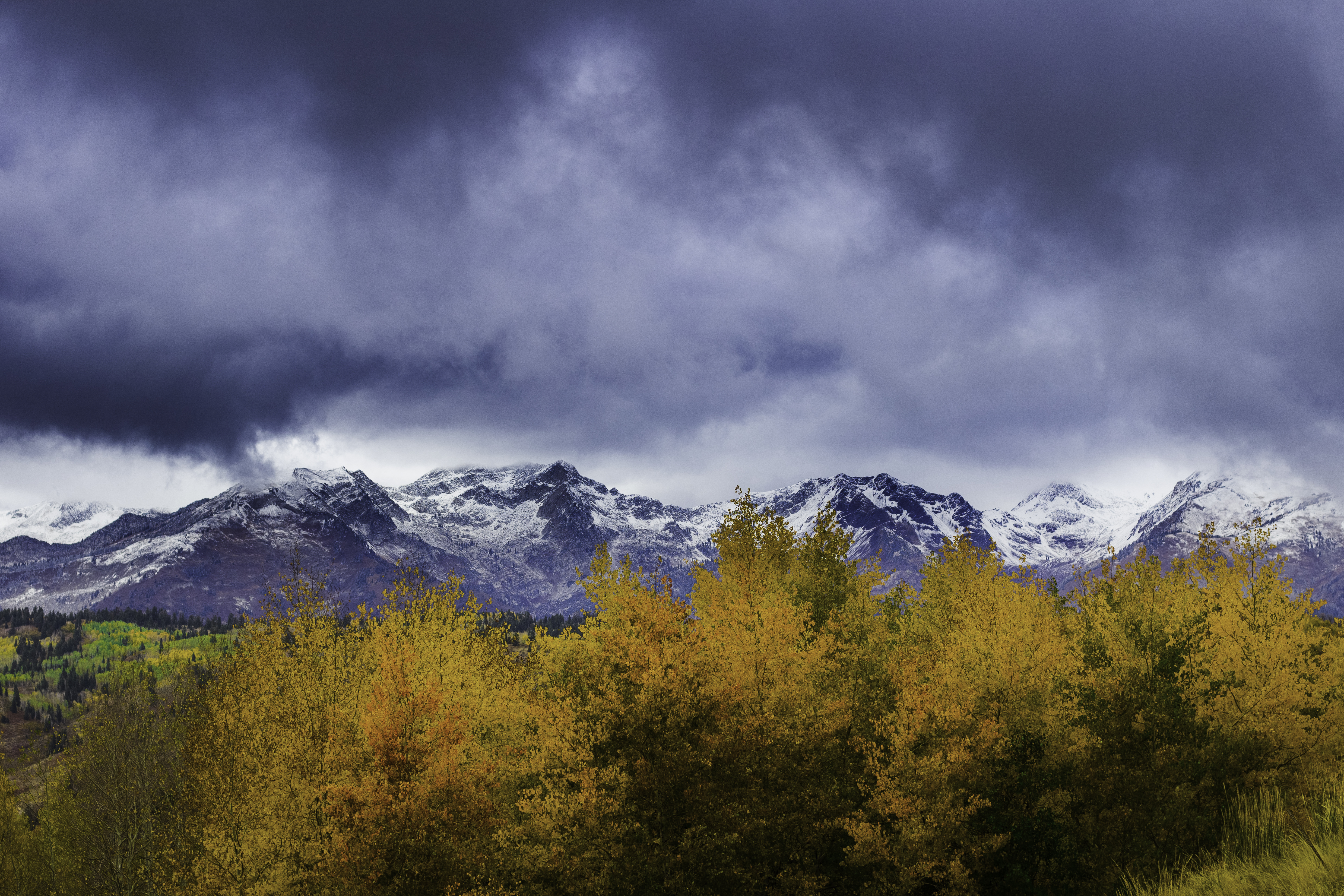 PCデスクトップに自然, 山脈, 雪, ブッシュ画像を無料でダウンロード