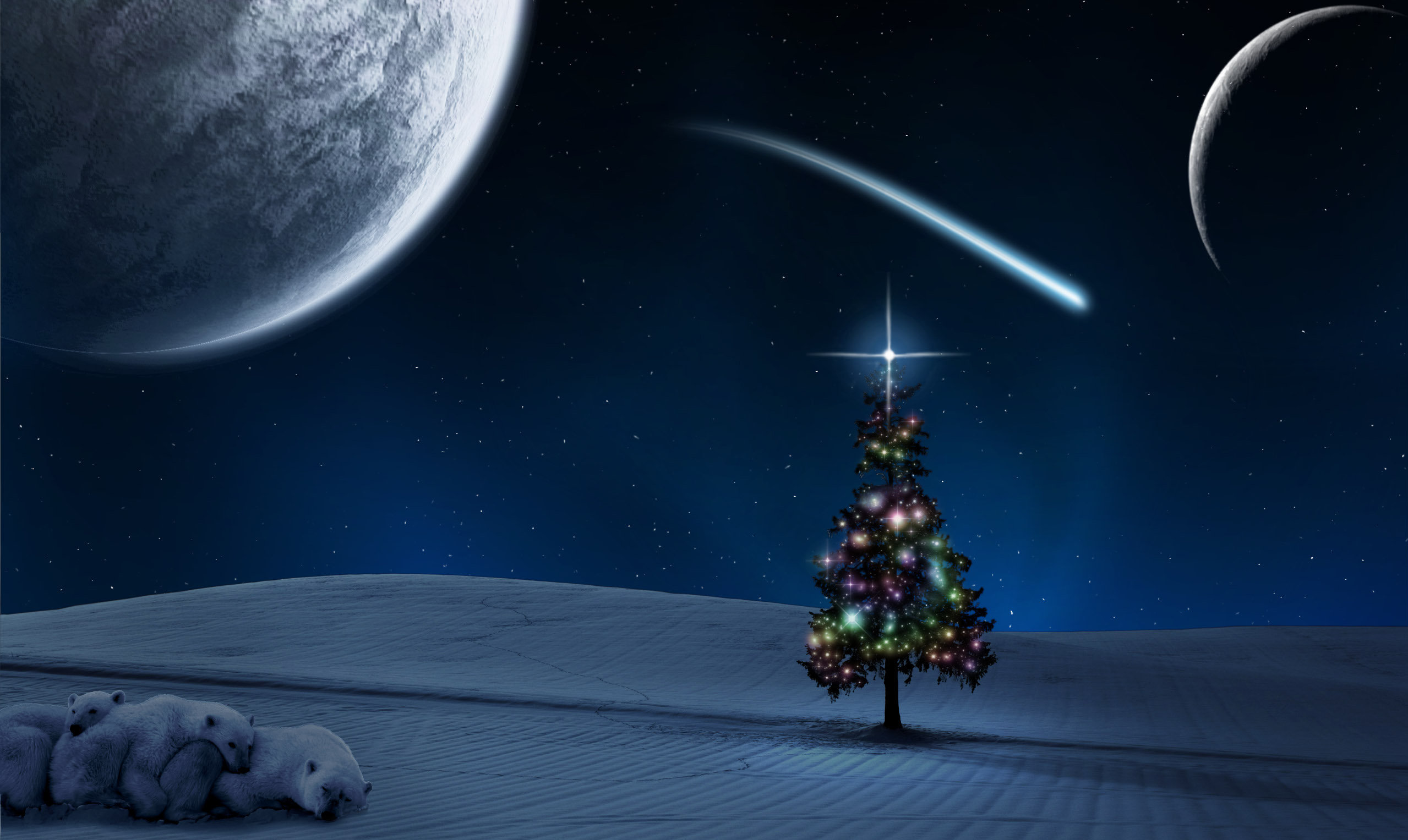 Download mobile wallpaper Christmas, Christmas Tree, Holiday for free.