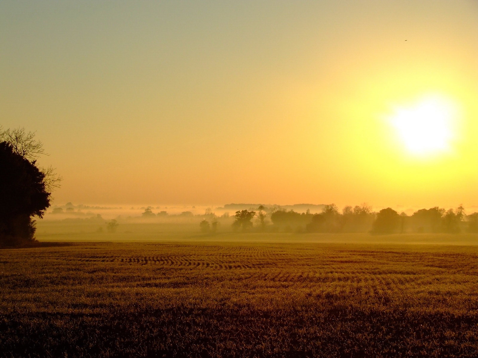 Download mobile wallpaper Sun, Fields, Landscape for free.