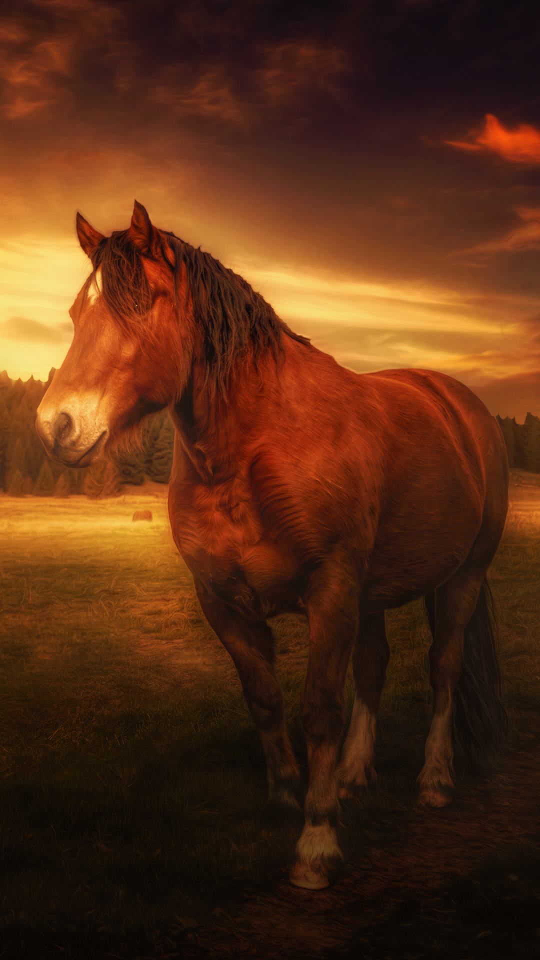Download mobile wallpaper Sunset, Field, Animal, Horse for free.