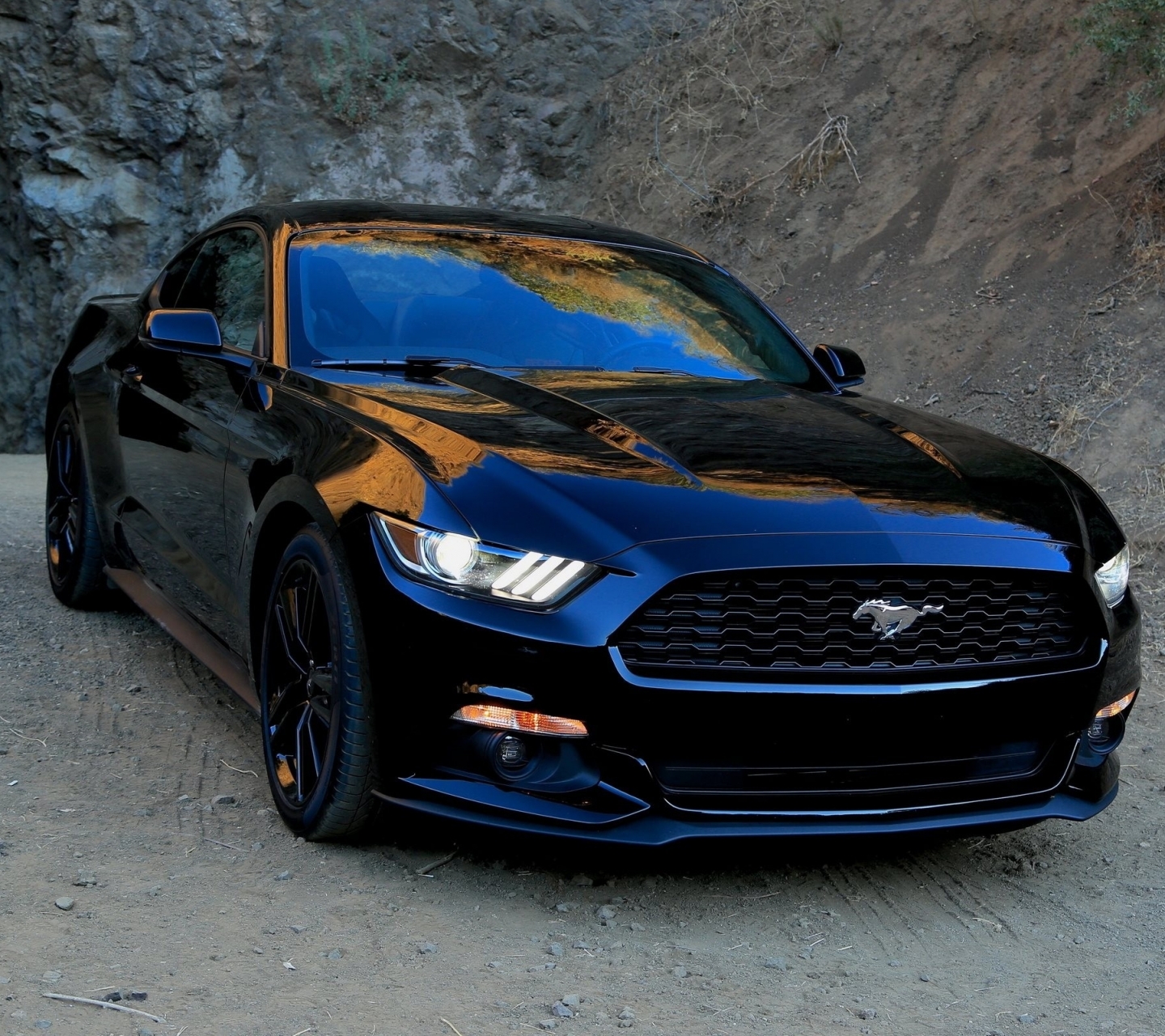 Ford Mustang  8k Backgrounds