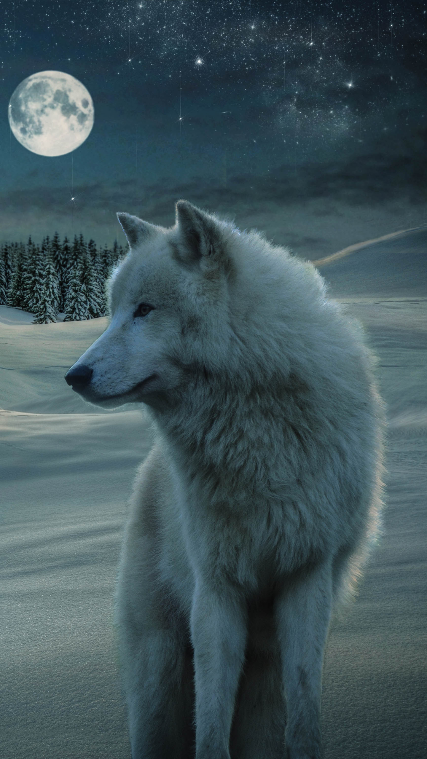 wolf, starry sky, white wolf, animal, snow, moon, winter, night, stars, house, wolves