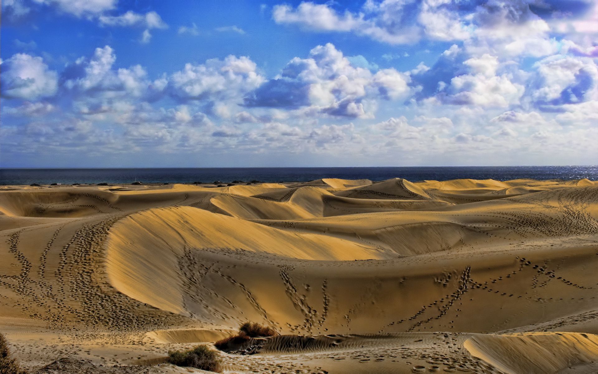 149890 скачать картинку пустыня, природа, небо, облака, песок, следы - обои и заставки бесплатно