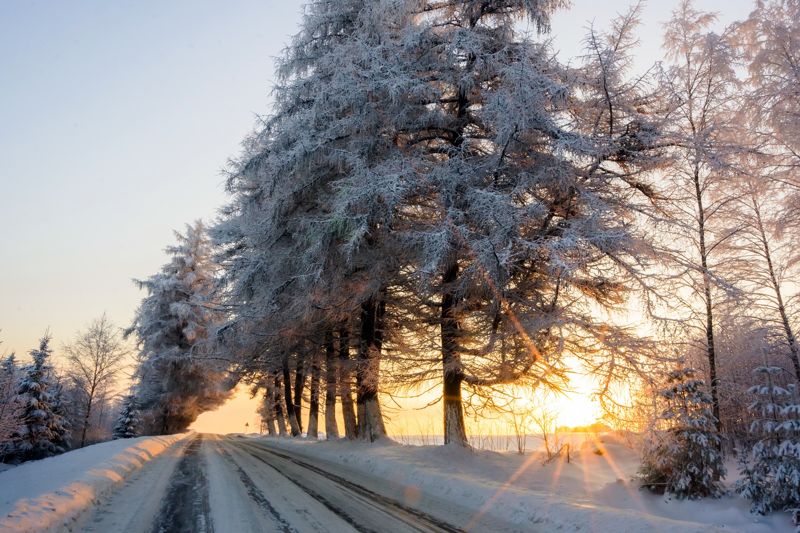 Download mobile wallpaper Winter, Nature, Snow, Road, Tree, Sunrise, Earth, Sunbeam for free.