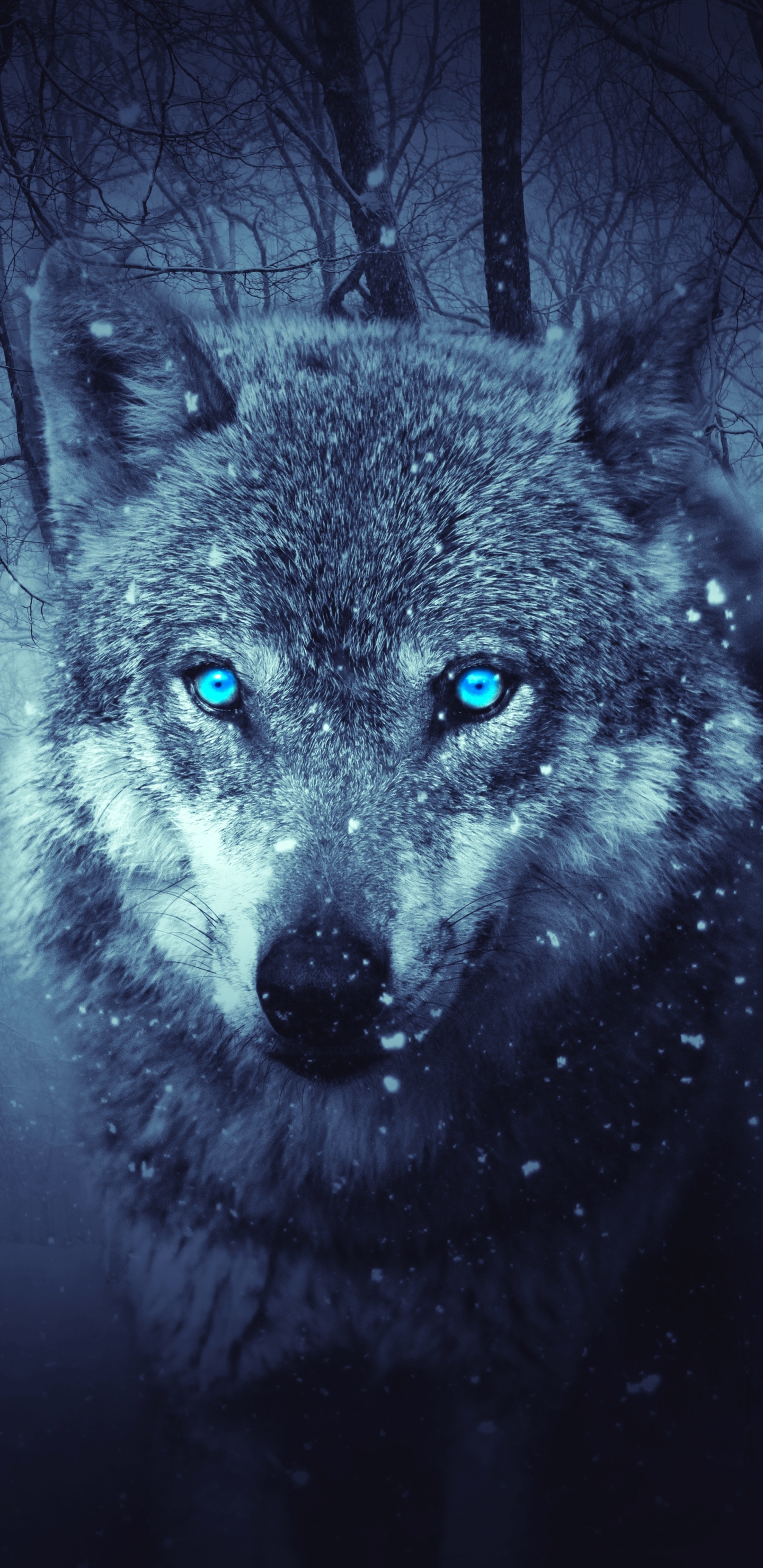 Download mobile wallpaper Fantasy, Forest, Wolf, Snowfall, Blue Eyes, Fantasy Animals for free.