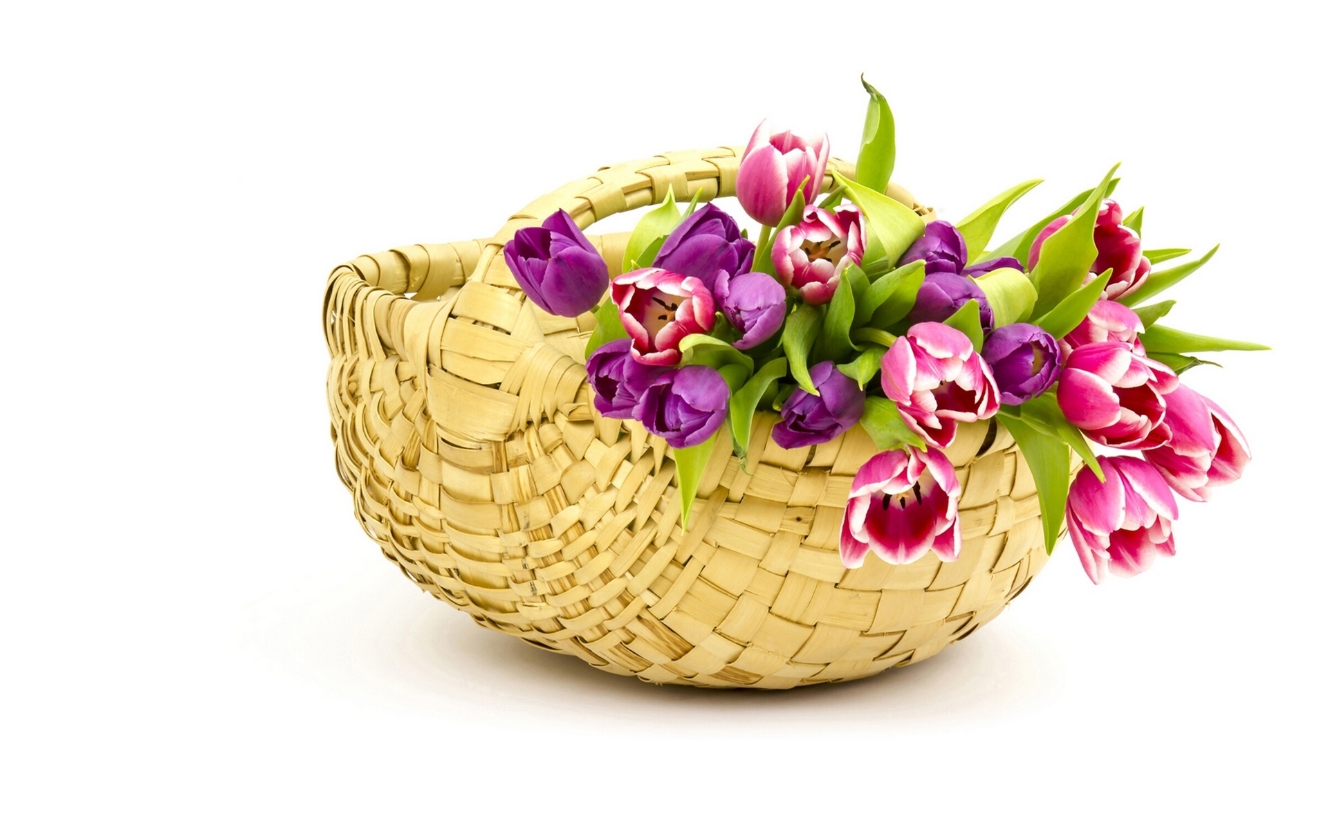 Free download wallpaper Flower, Bud, Basket, Tulip, Man Made on your PC desktop