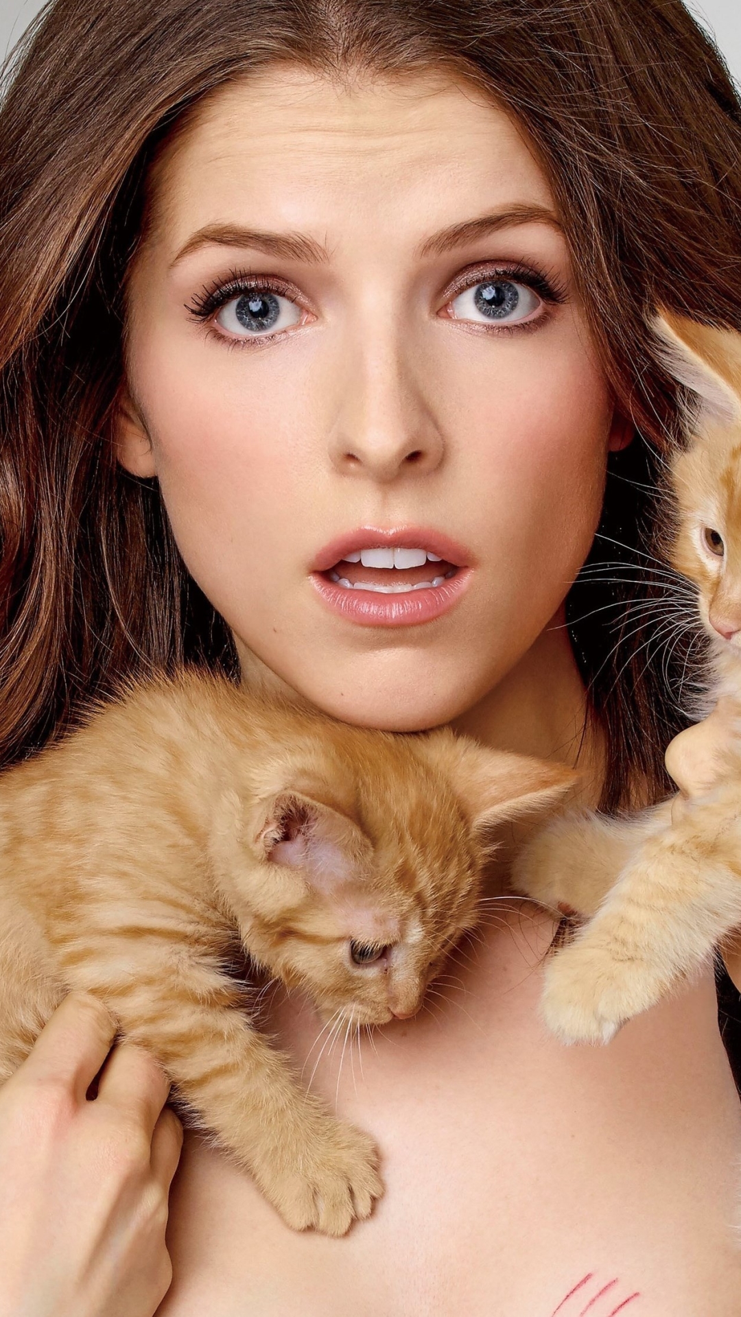 Download mobile wallpaper Cat, Kitten, Brunette, Blue Eyes, American, Celebrity, Baby Animal, Actress, Anna Kendrick for free.