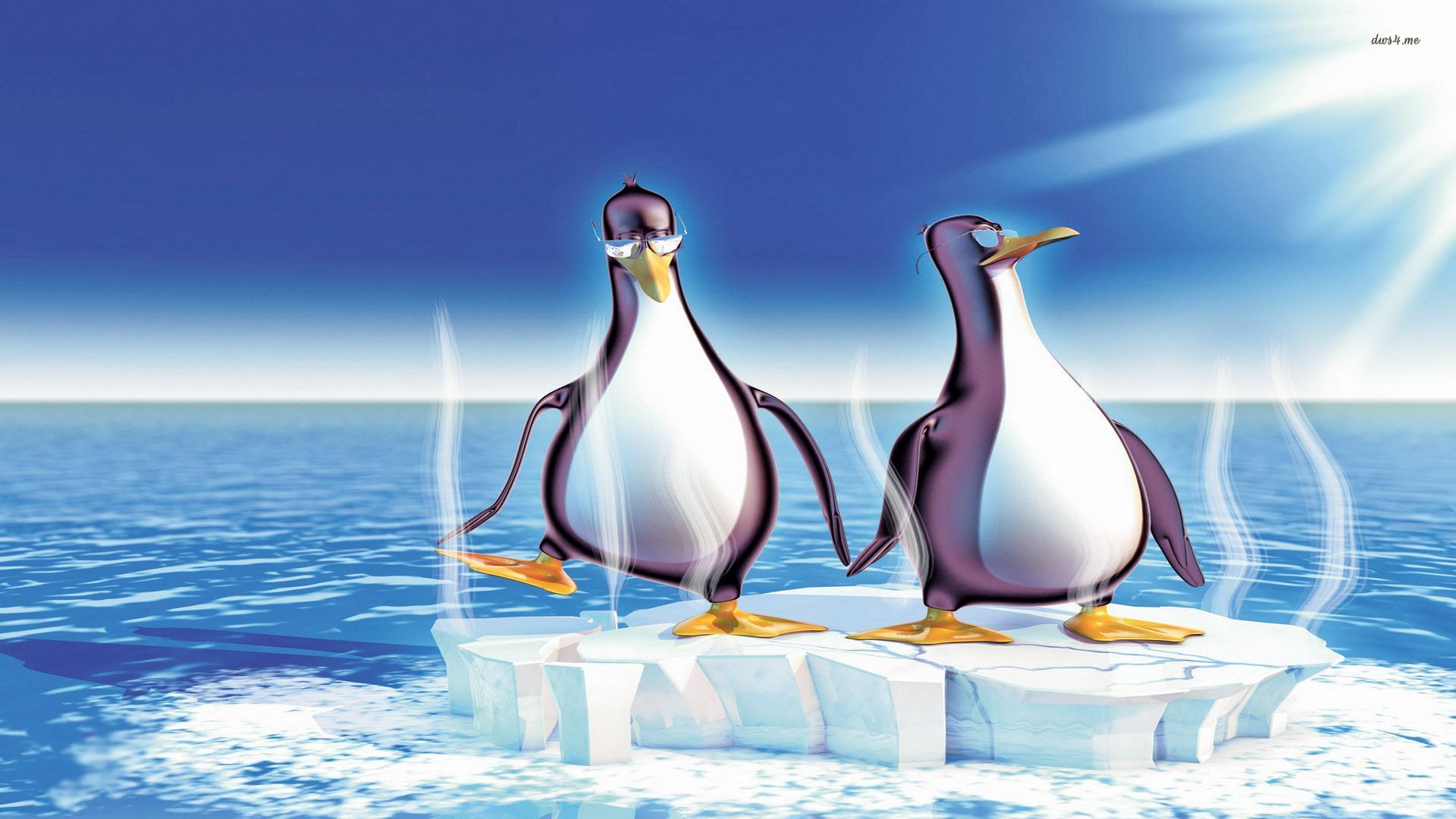 Free download wallpaper Birds, Bird, Animal, Penguin on your PC desktop